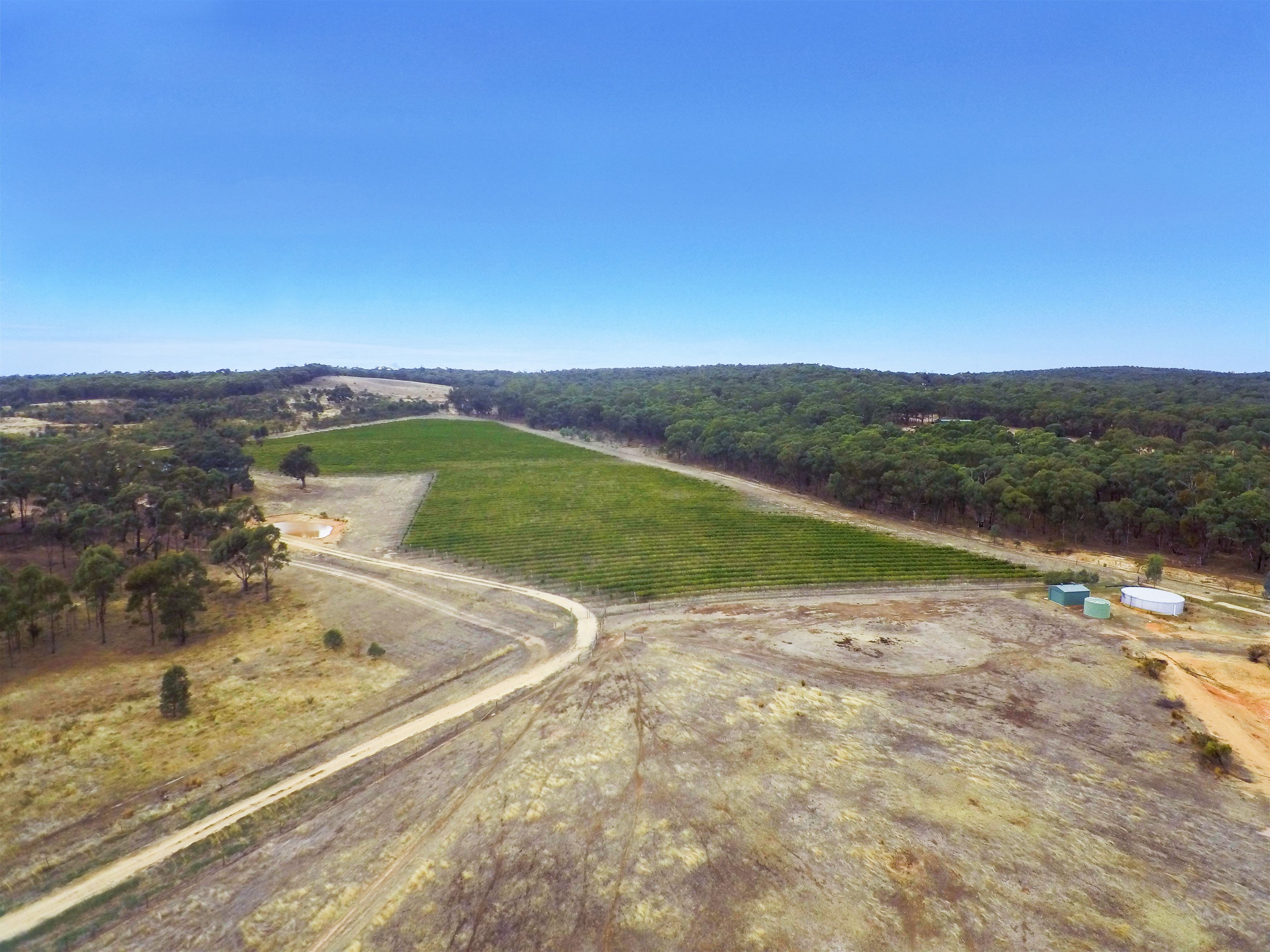 20 Morris Lane, Avoca, VIC 3467