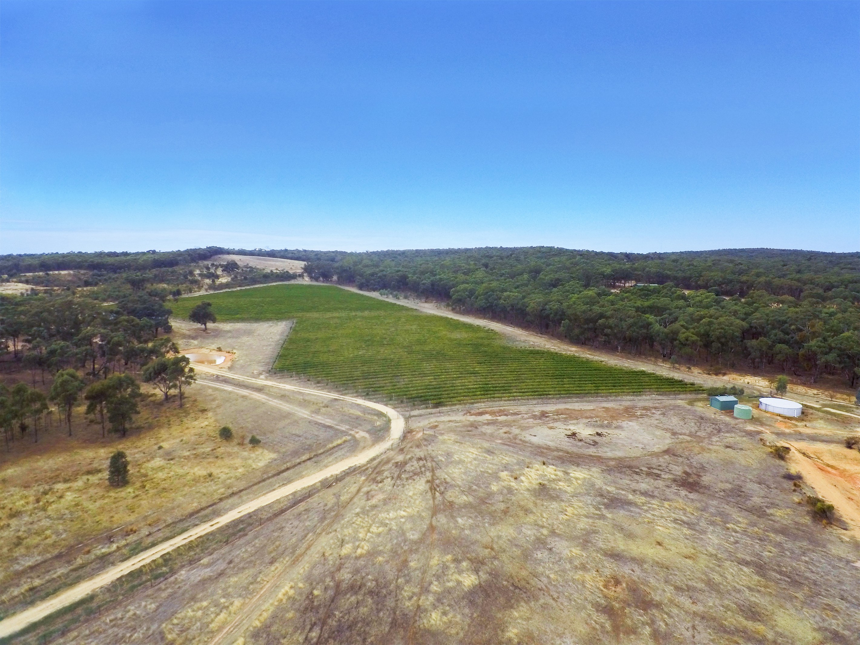 20 Morris Lane, Avoca, VIC 3467