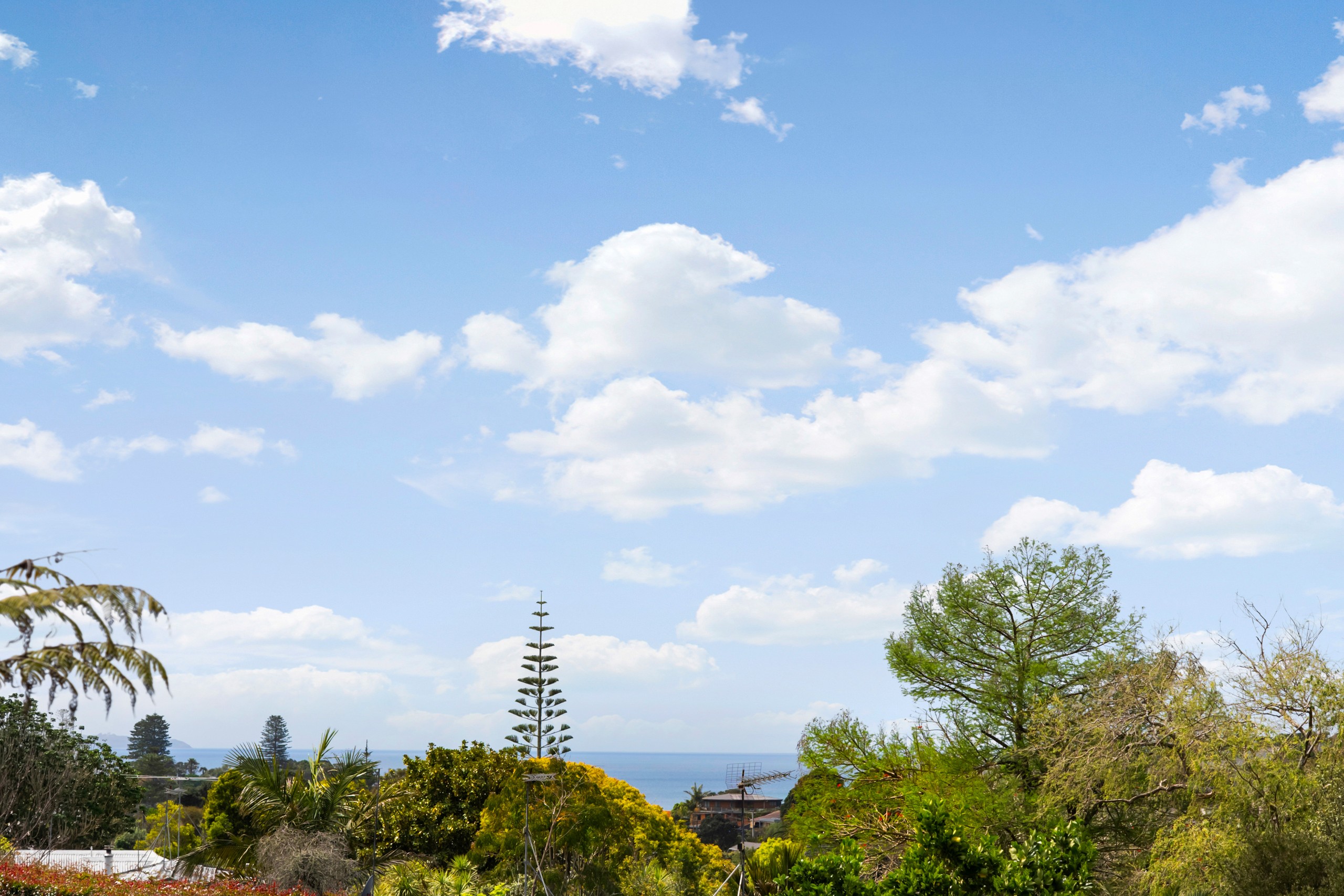 29 Hebron Road, Torbay, North Shore City