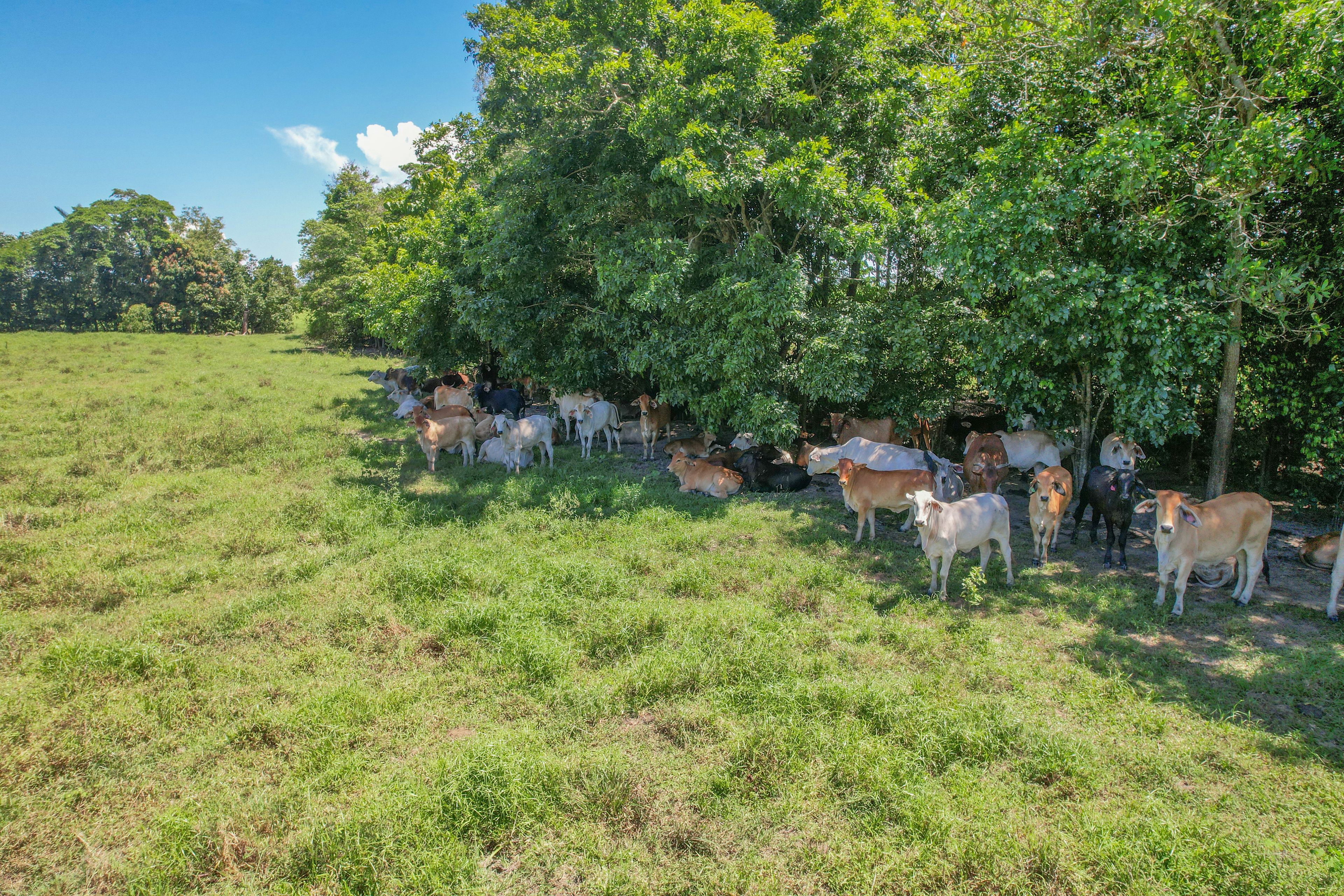 Lot 2 Bruce Highway — photo 17 of 19