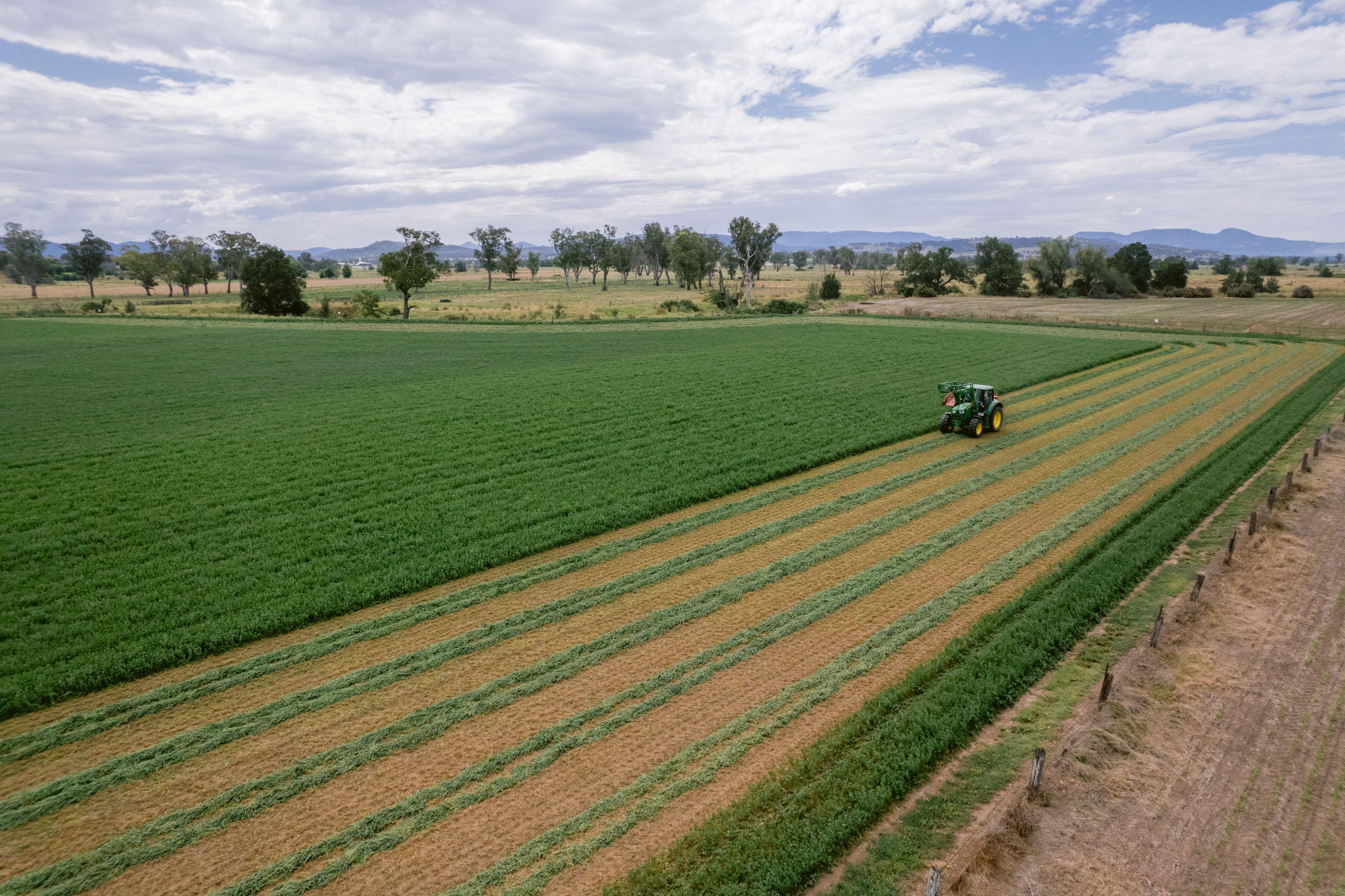 Lot 1 Morse Street, Scone, NSW 2337