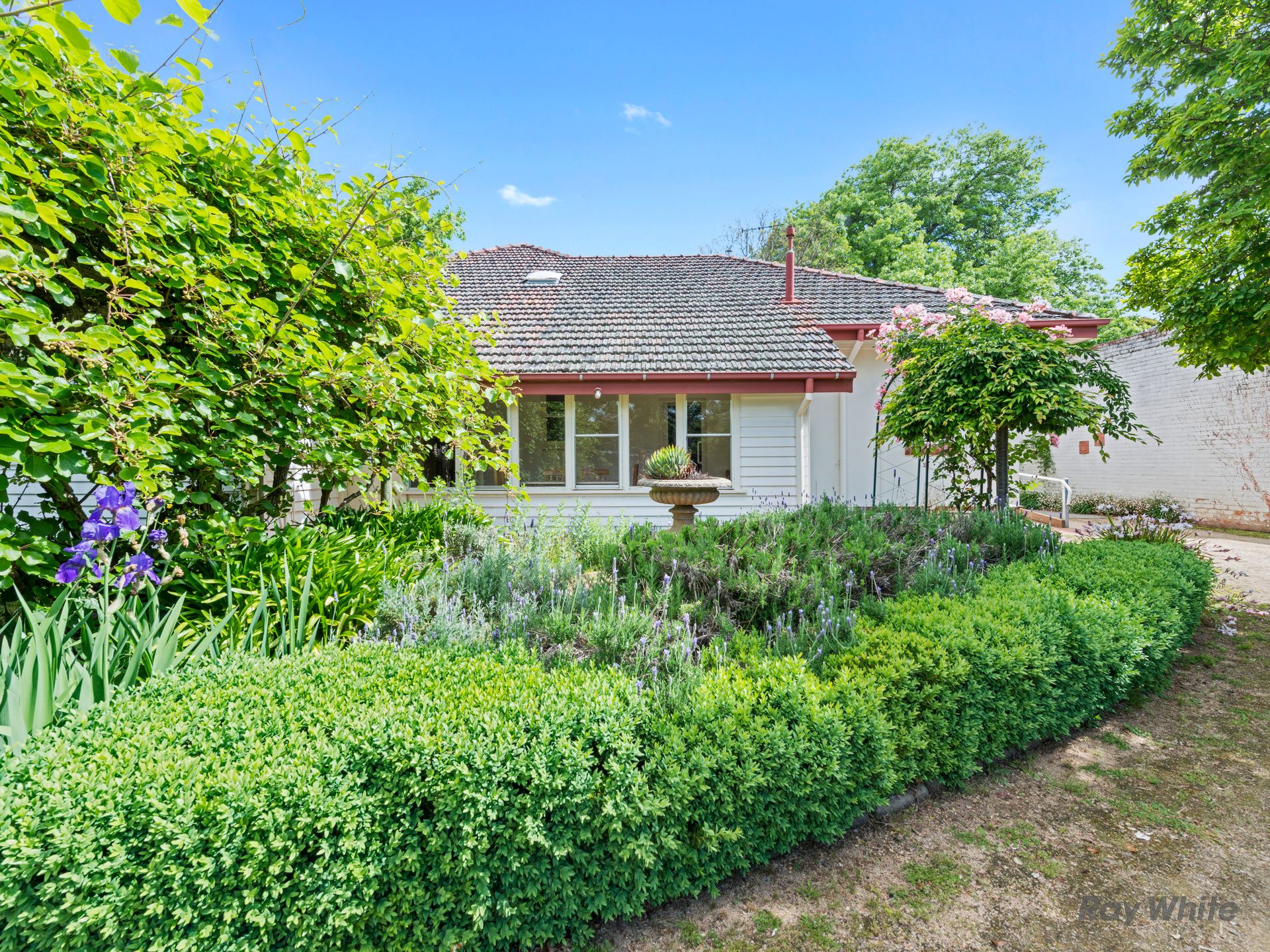 13 Benson Street, Benalla, VIC 3672