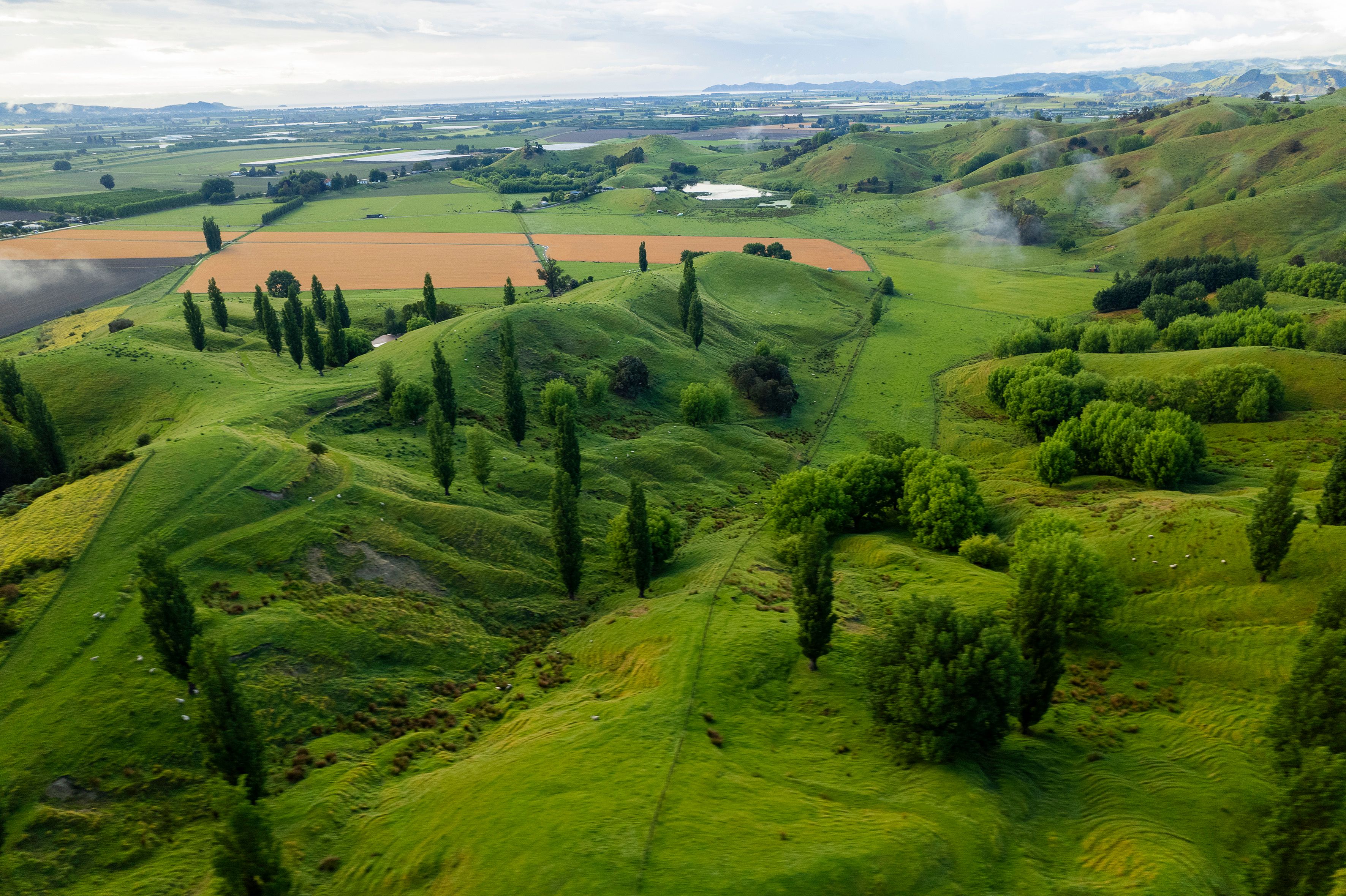 0 Lavenham Road, Waituhi, Gisborne District
