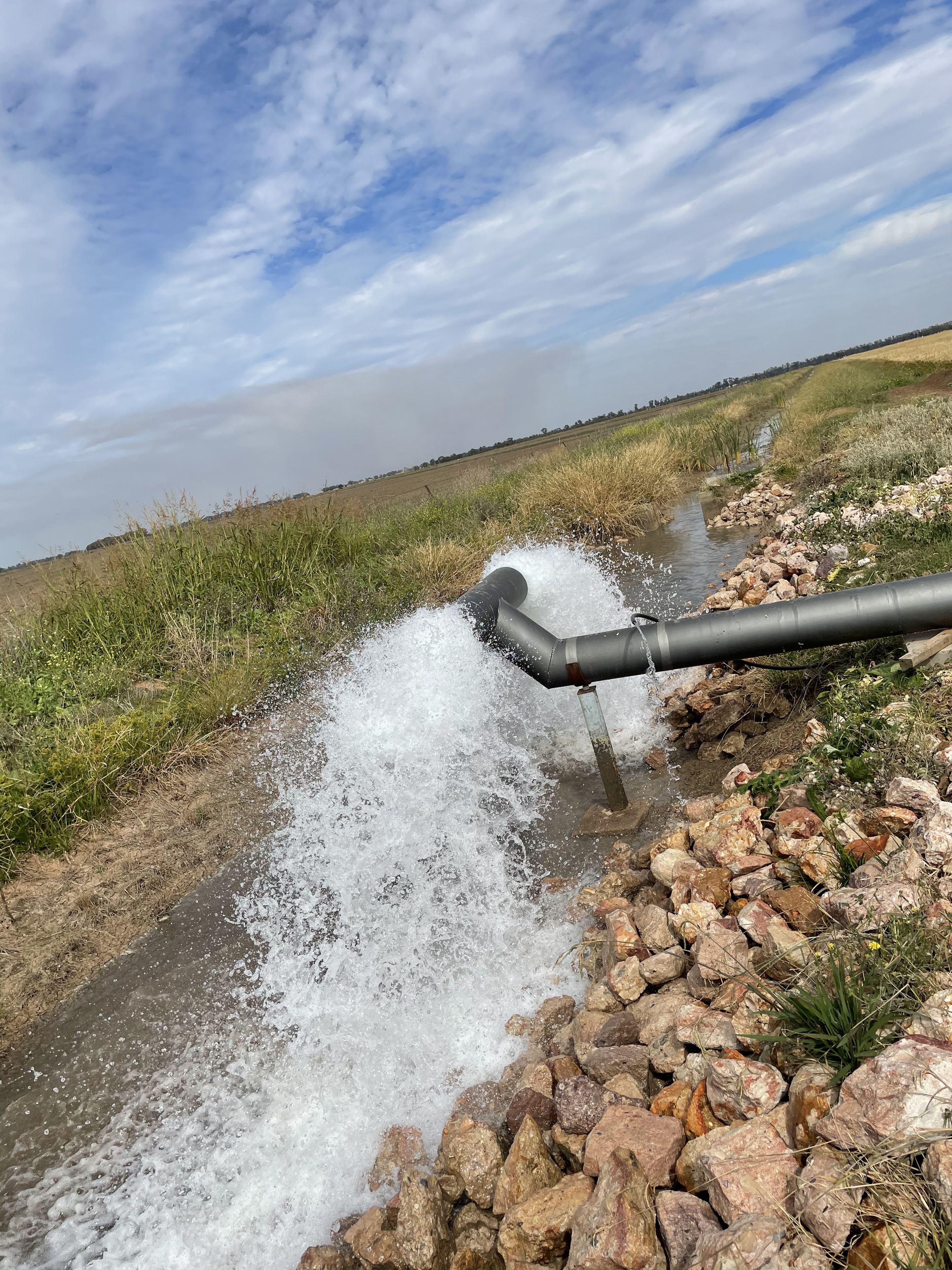 ( Davit Farm ) Cashmere Road — photo 15 of 17