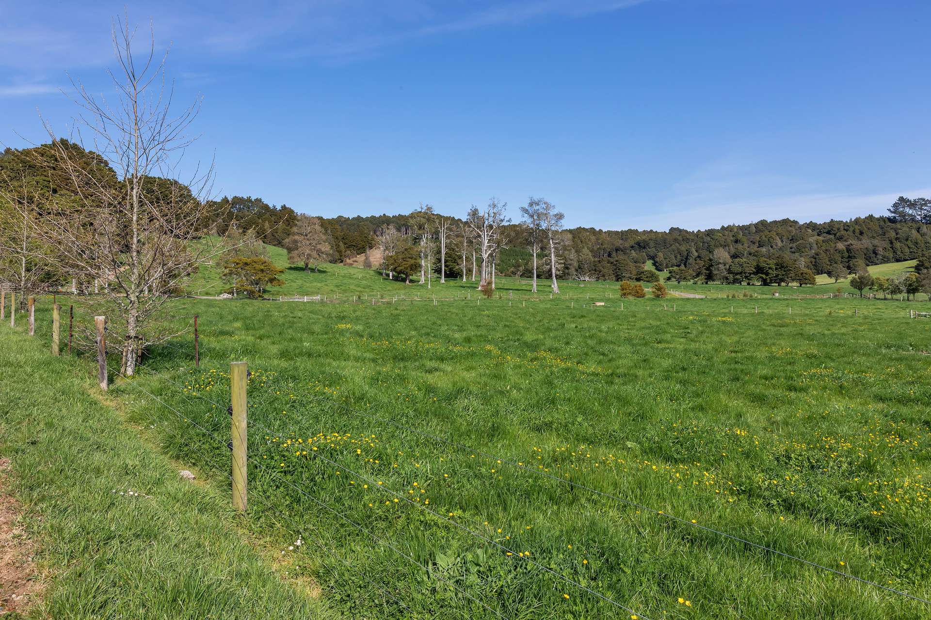 289 Hukerenui Road photo 8