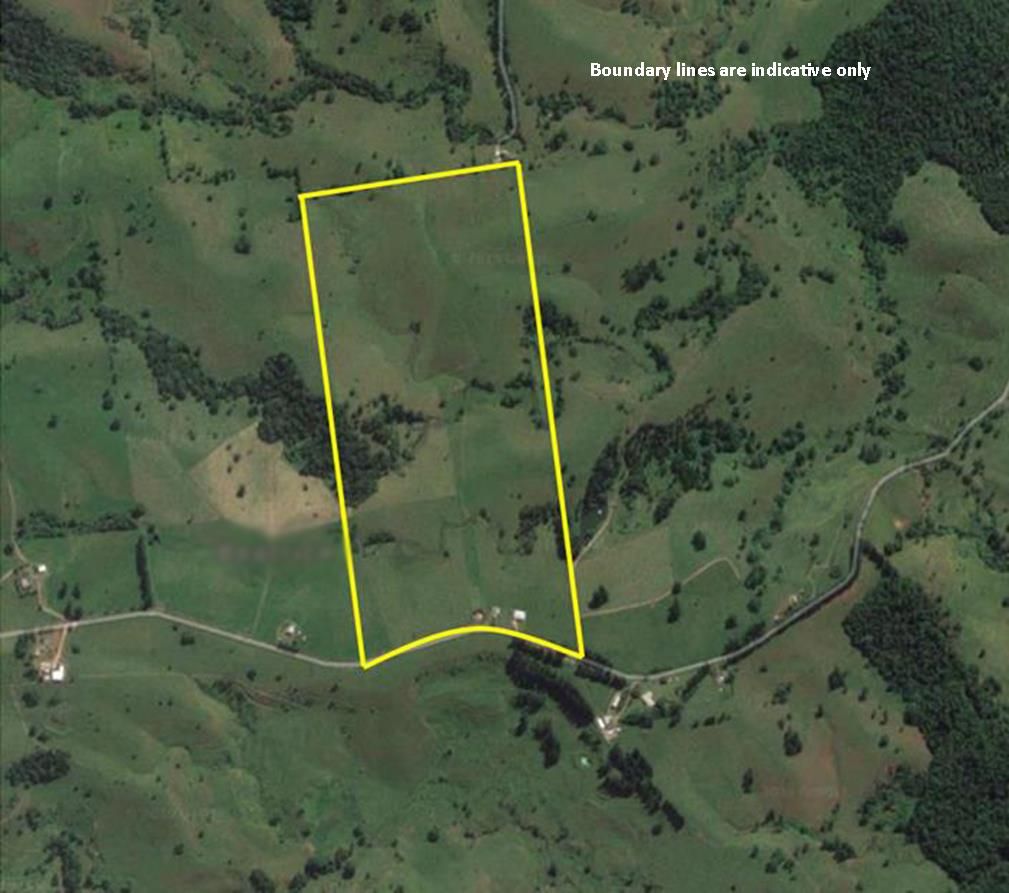 210 Pheasant Road, Millaa Millaa, QLD 4886