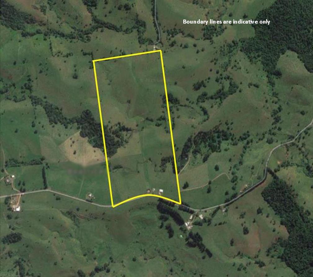 210 Pheasant Road, Millaa Millaa, QLD 4886