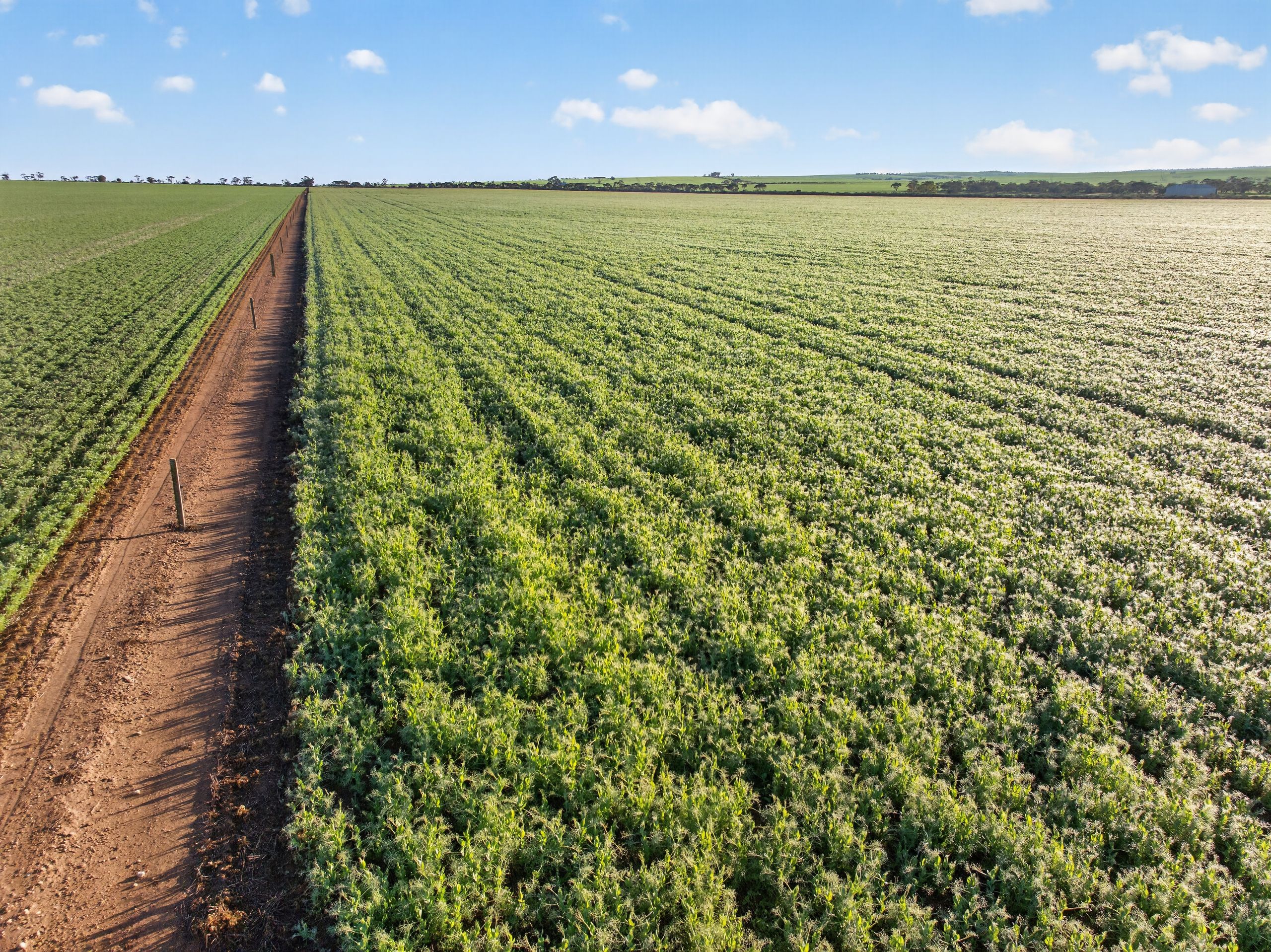 'Murrumbeena' Murrumbeena Road — photo from Ray White Rural South Australia