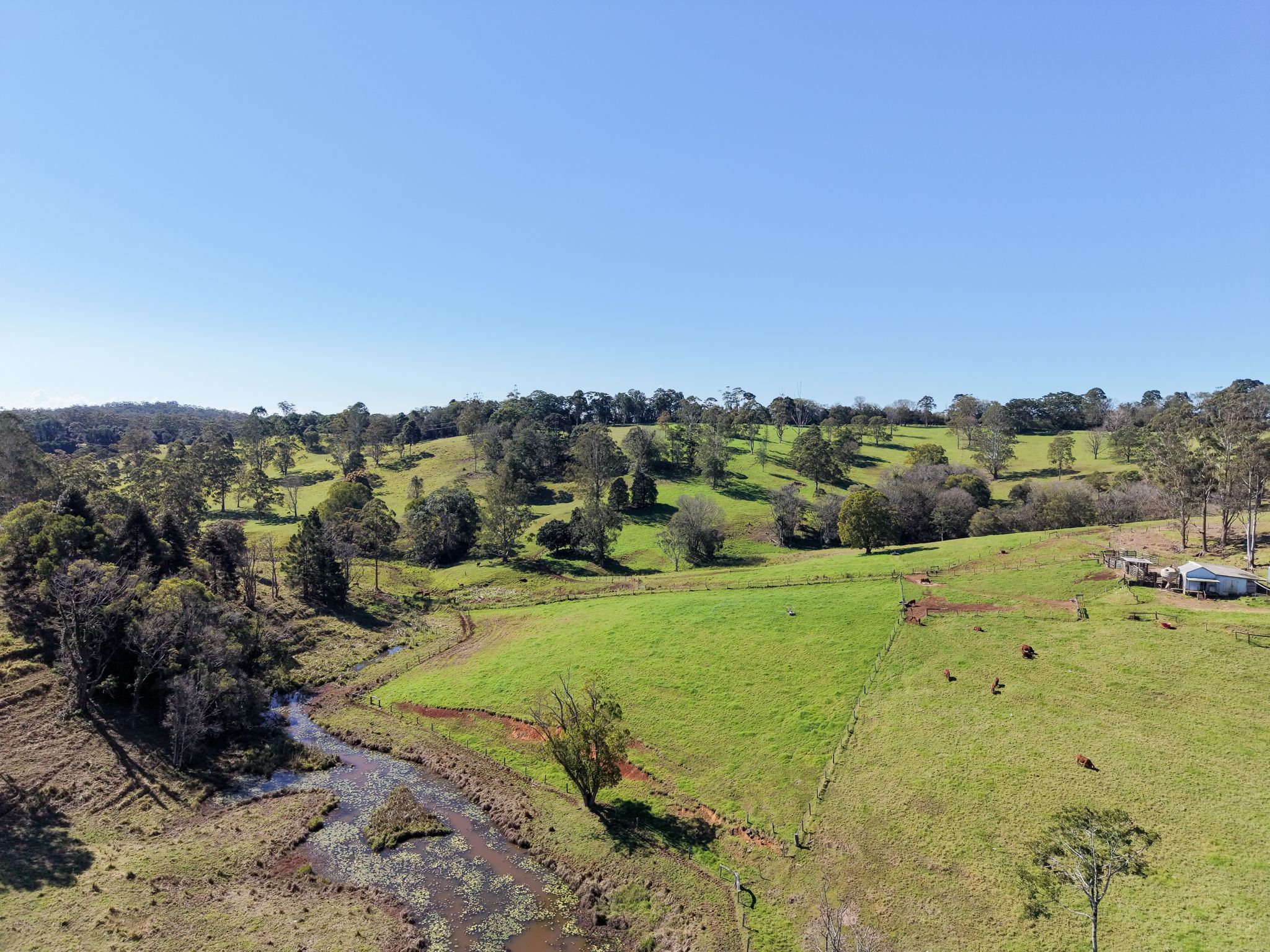 186 Acres of Productive Bellthorpe Hinterland Country — photo 13 of 14