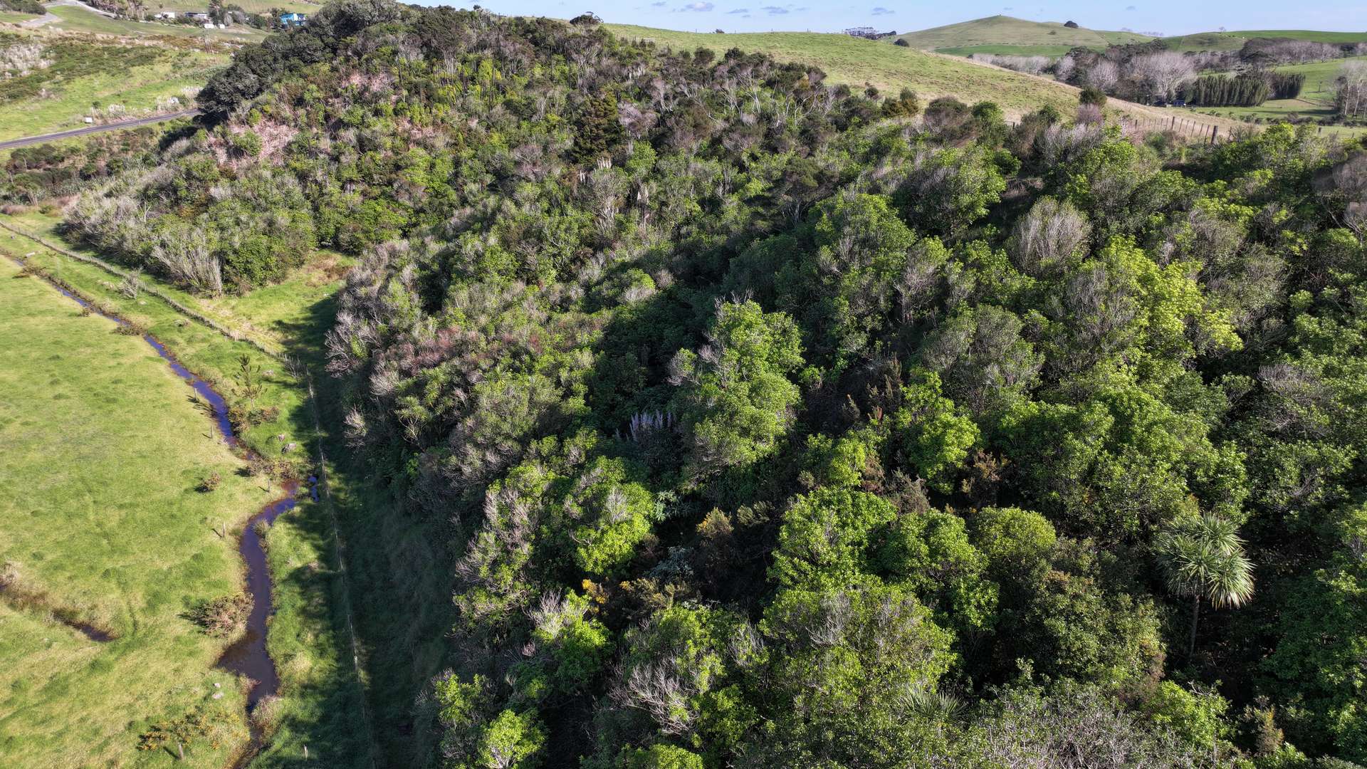 Lot 1 State Highway 10 photo 11