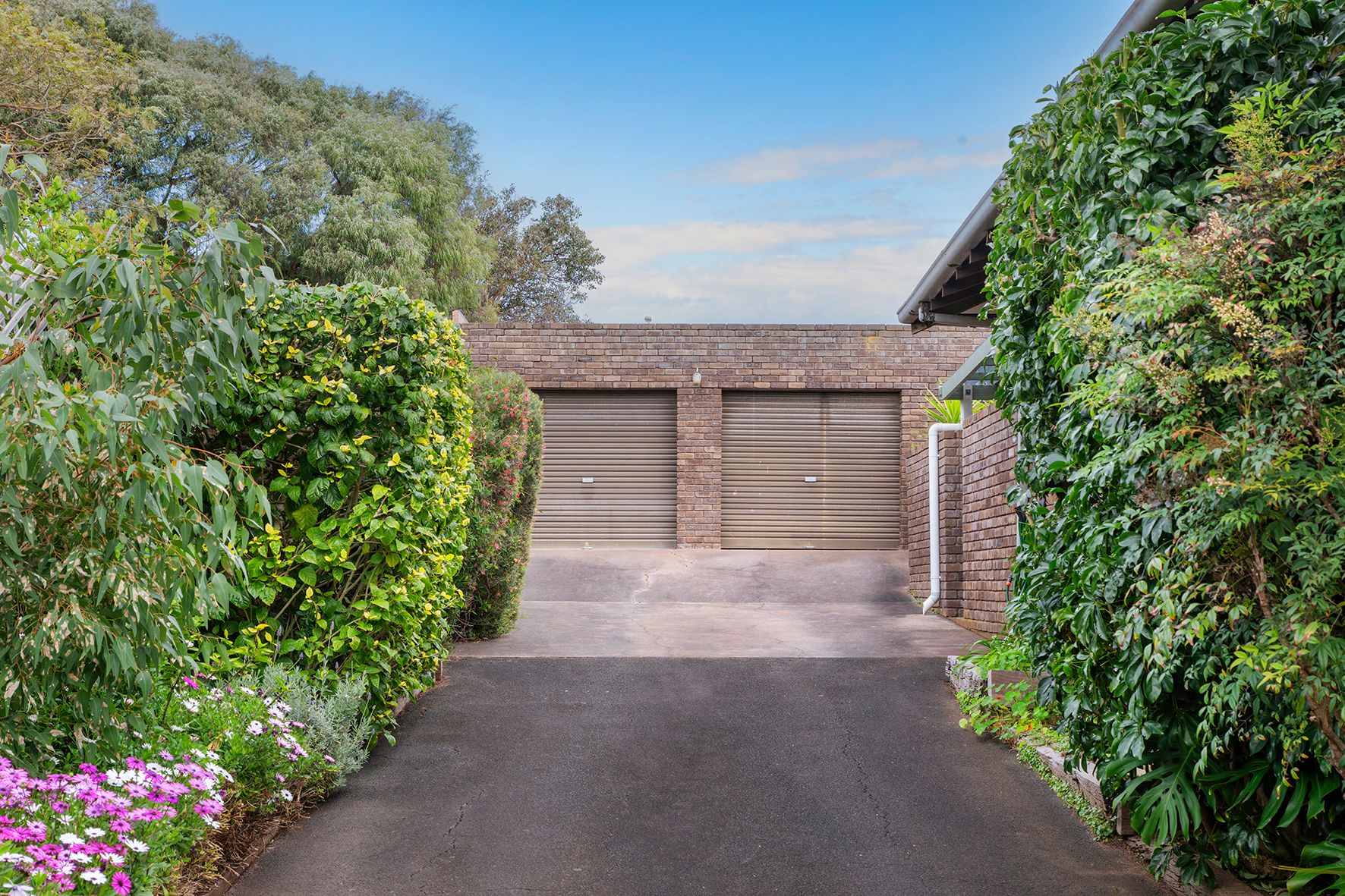 40 Ewing Street — photo 17 of 19