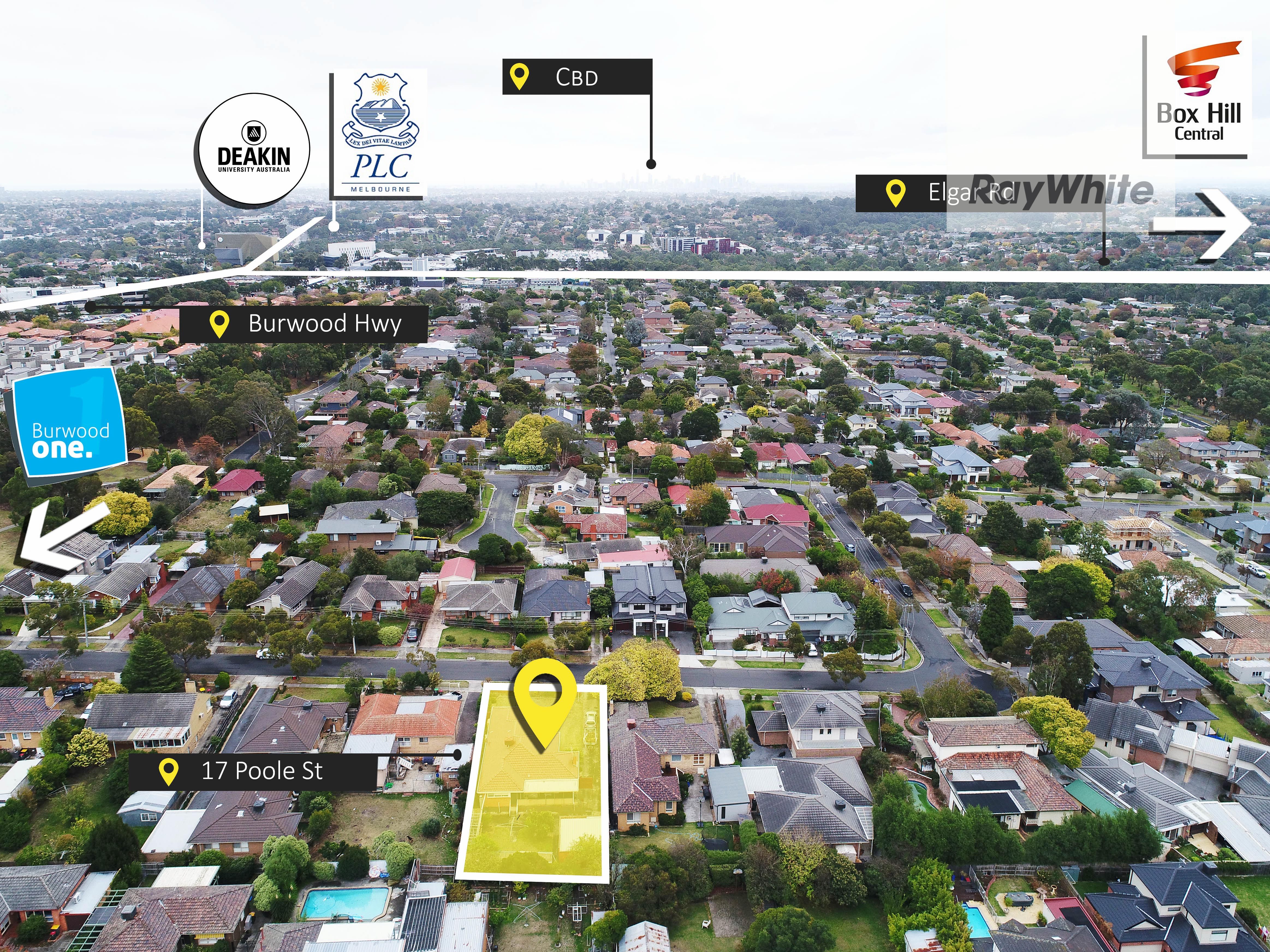 17 Poole Street, Burwood, VIC 3125