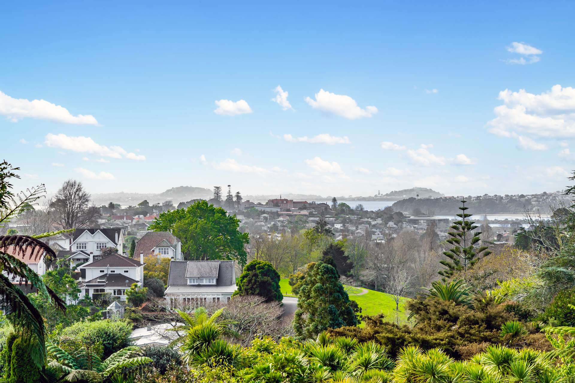 3/452 Remuera Road photo 5