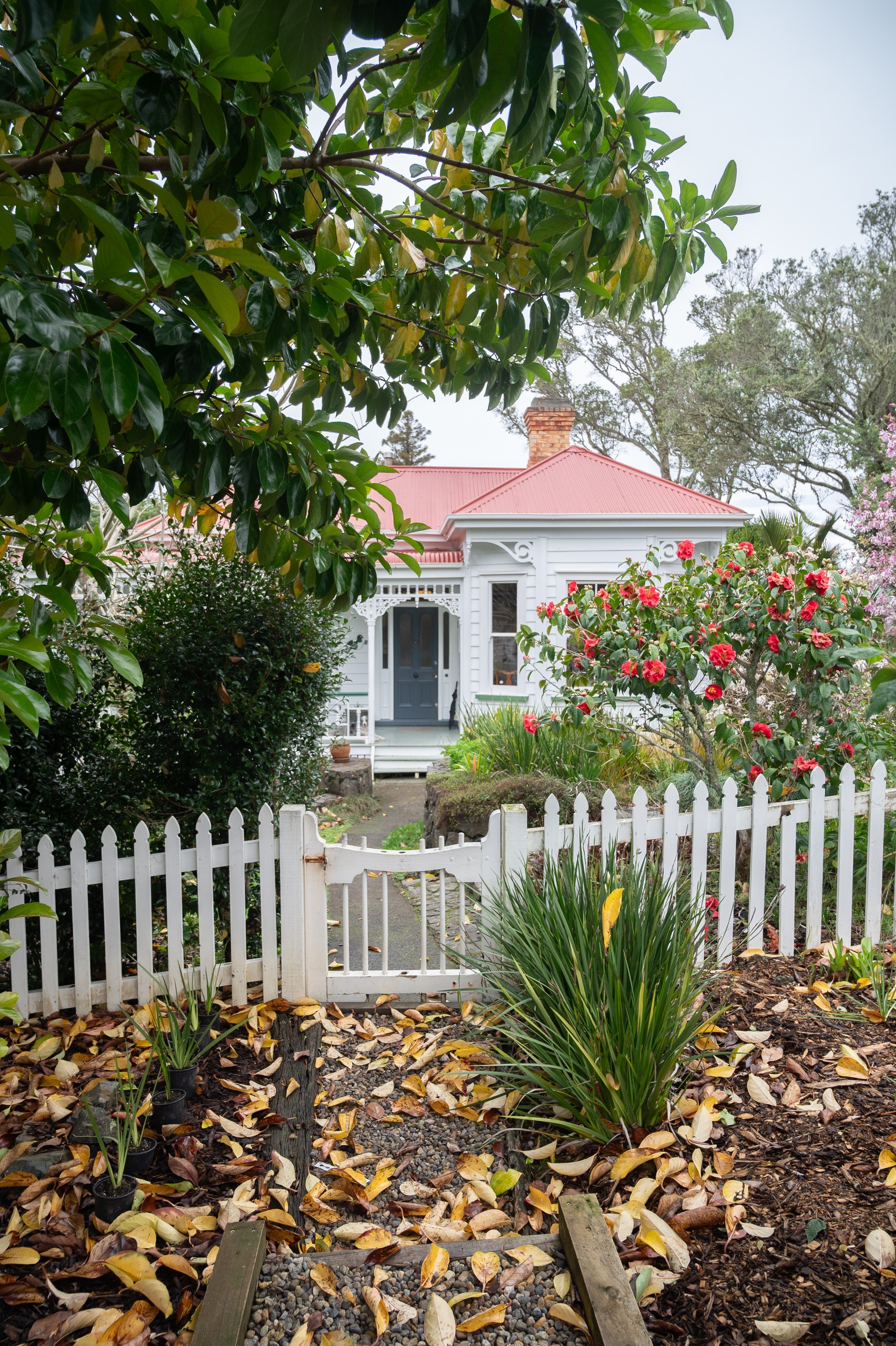 19 Pulham Road, Warkworth, Rodney