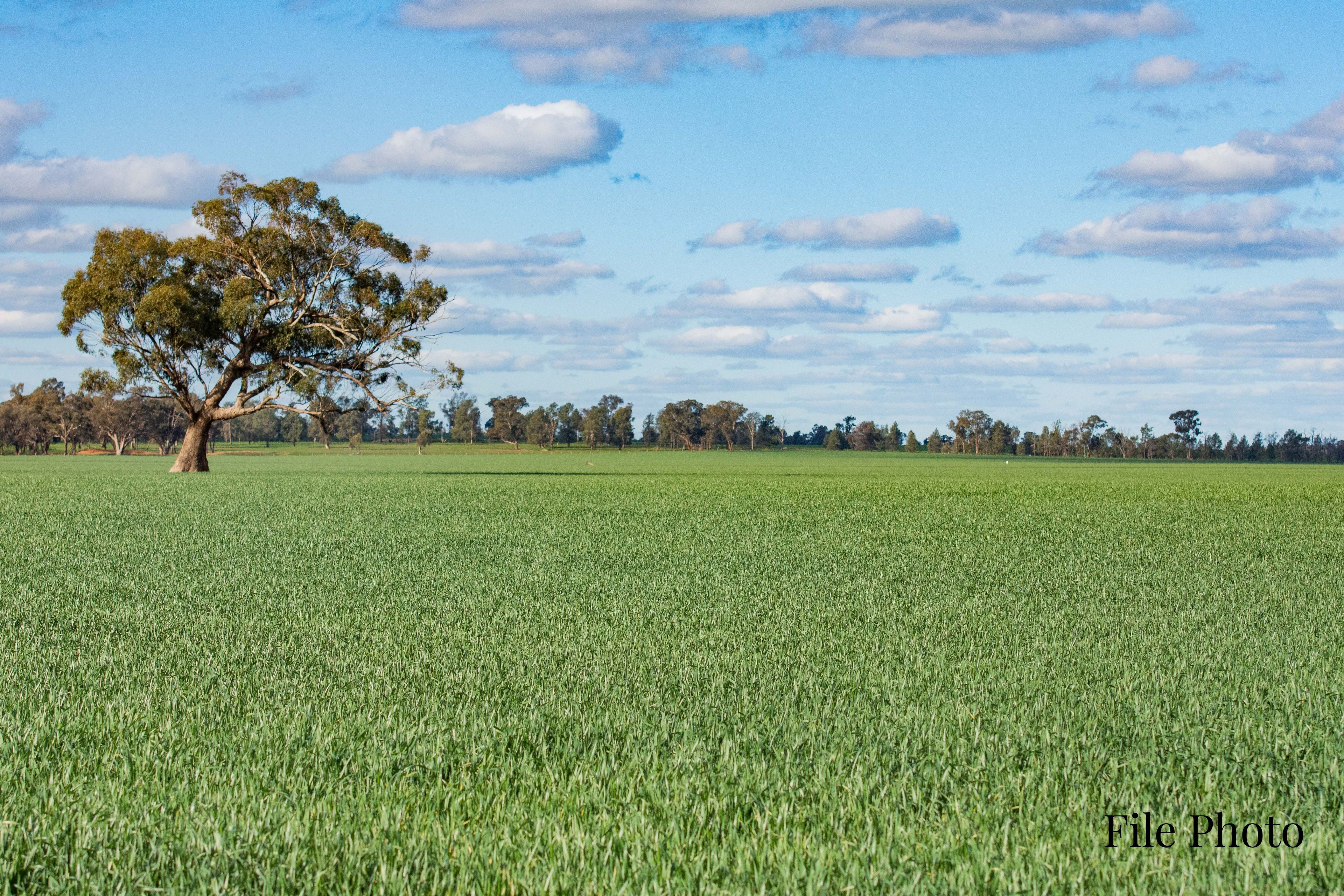 784 Methul Road, Methul, NSW 2701