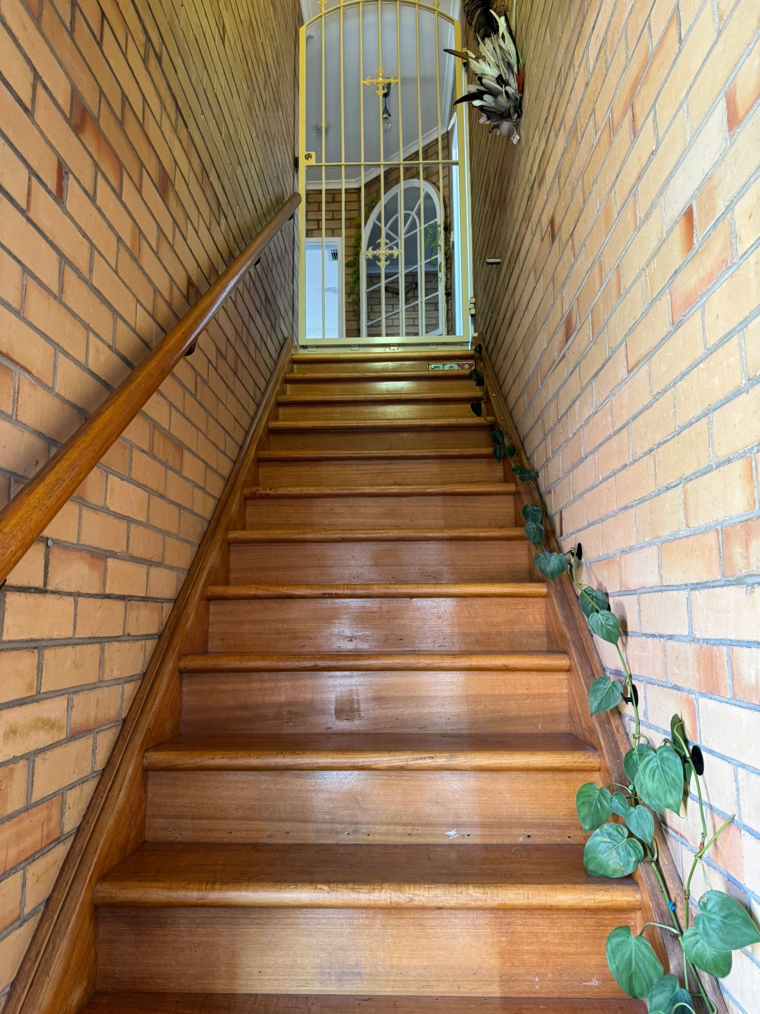 26 Riverway, Fulham Gardens, SA 5024