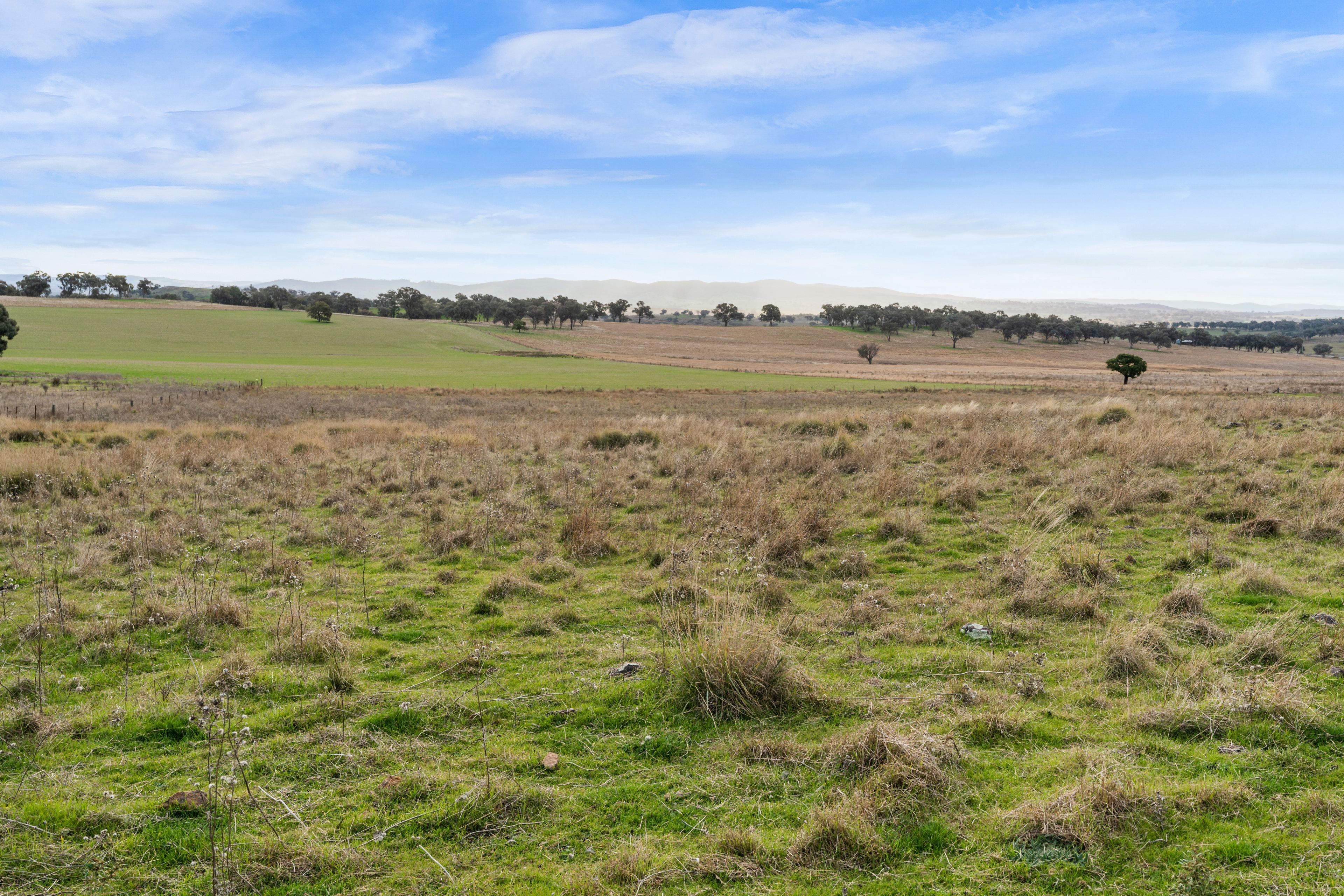 Henry Parkes Way, Manildra, NSW 2865 Sold Rural Lifestyle Property