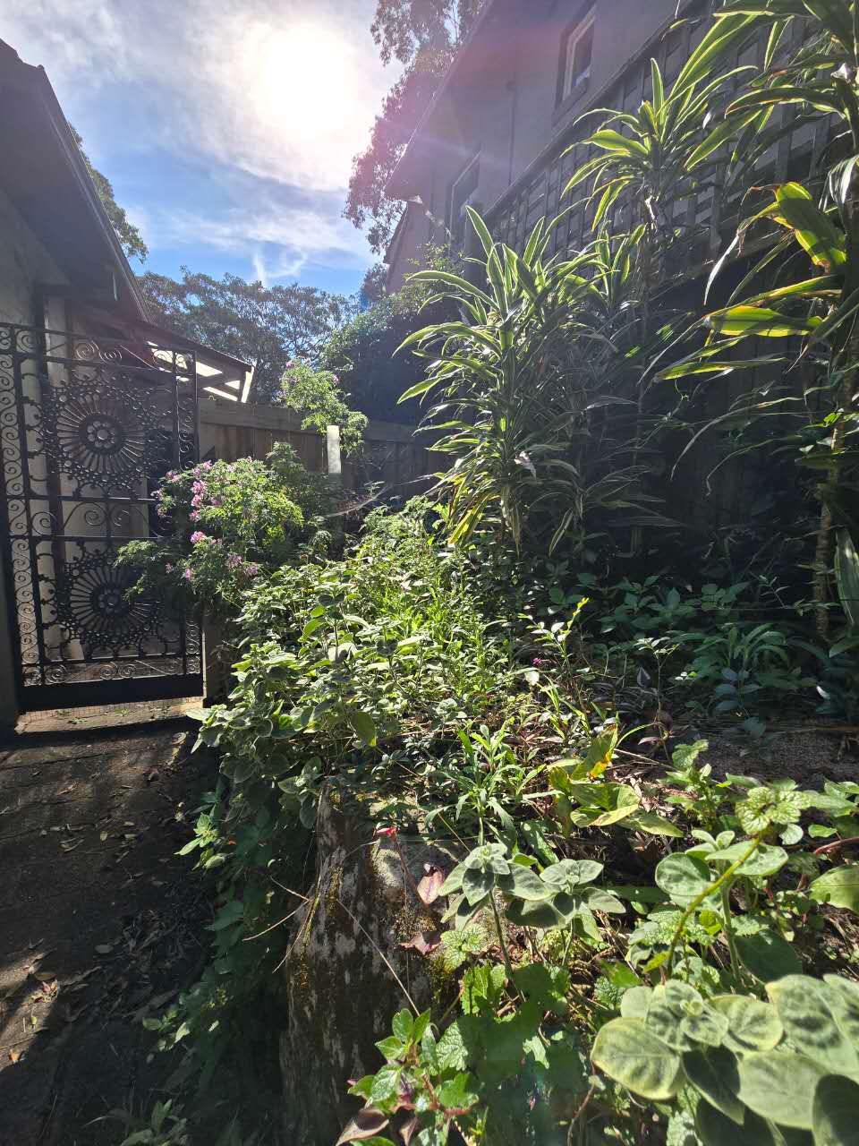 4/682 Old South Head Road — photo 16 of 17