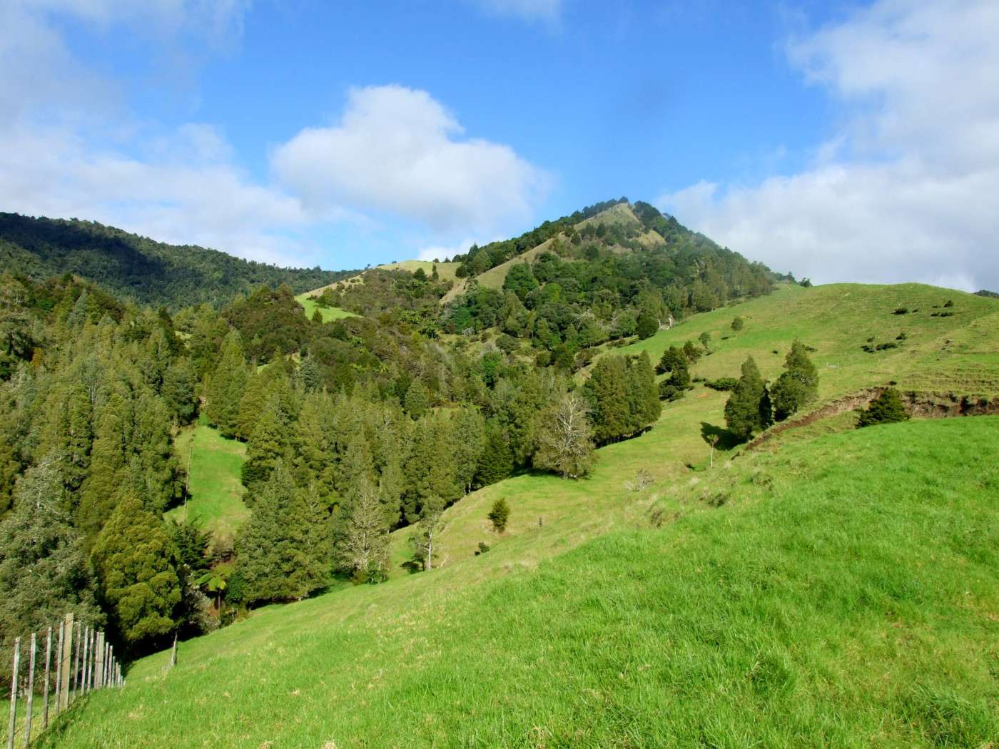 185 Takahue Saddle Road photo 9