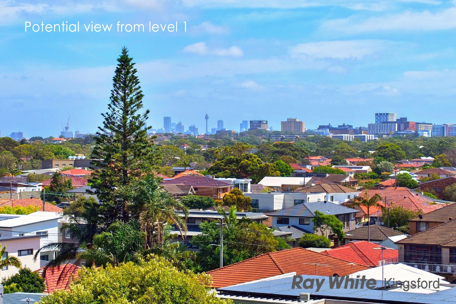 163 Boyce Road, Maroubra, NSW 2035