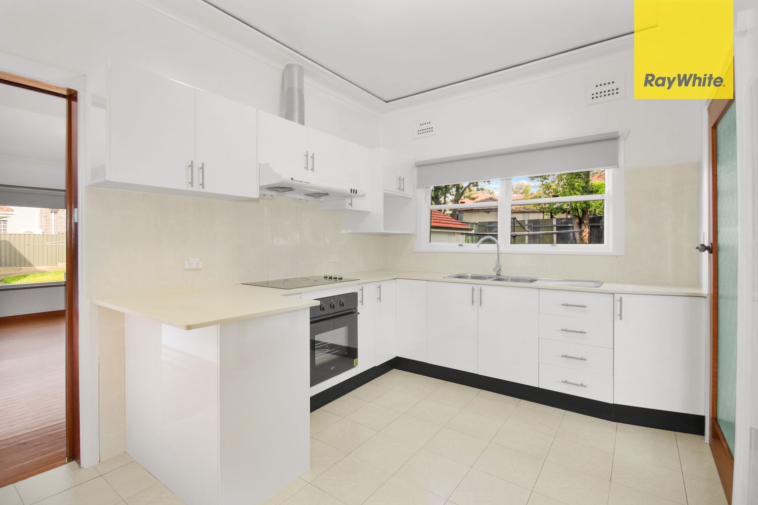19 Rosehill Street, Parramatta, NSW 2150