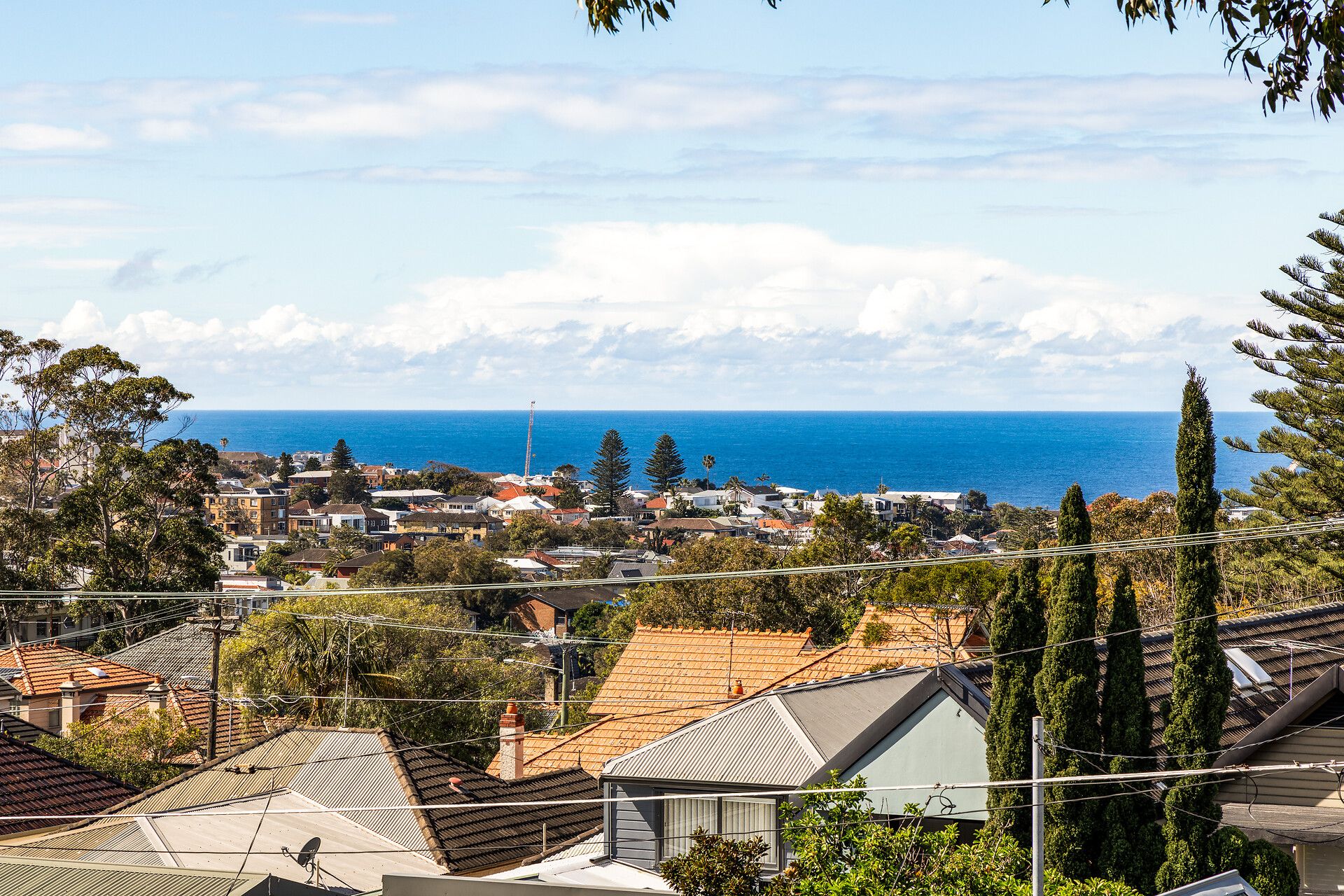 7 High Street, Waverley, NSW 2024