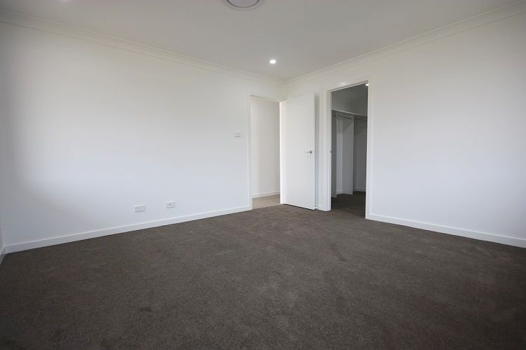 161 Hampshire Boulevard, Spring Farm, NSW 2570