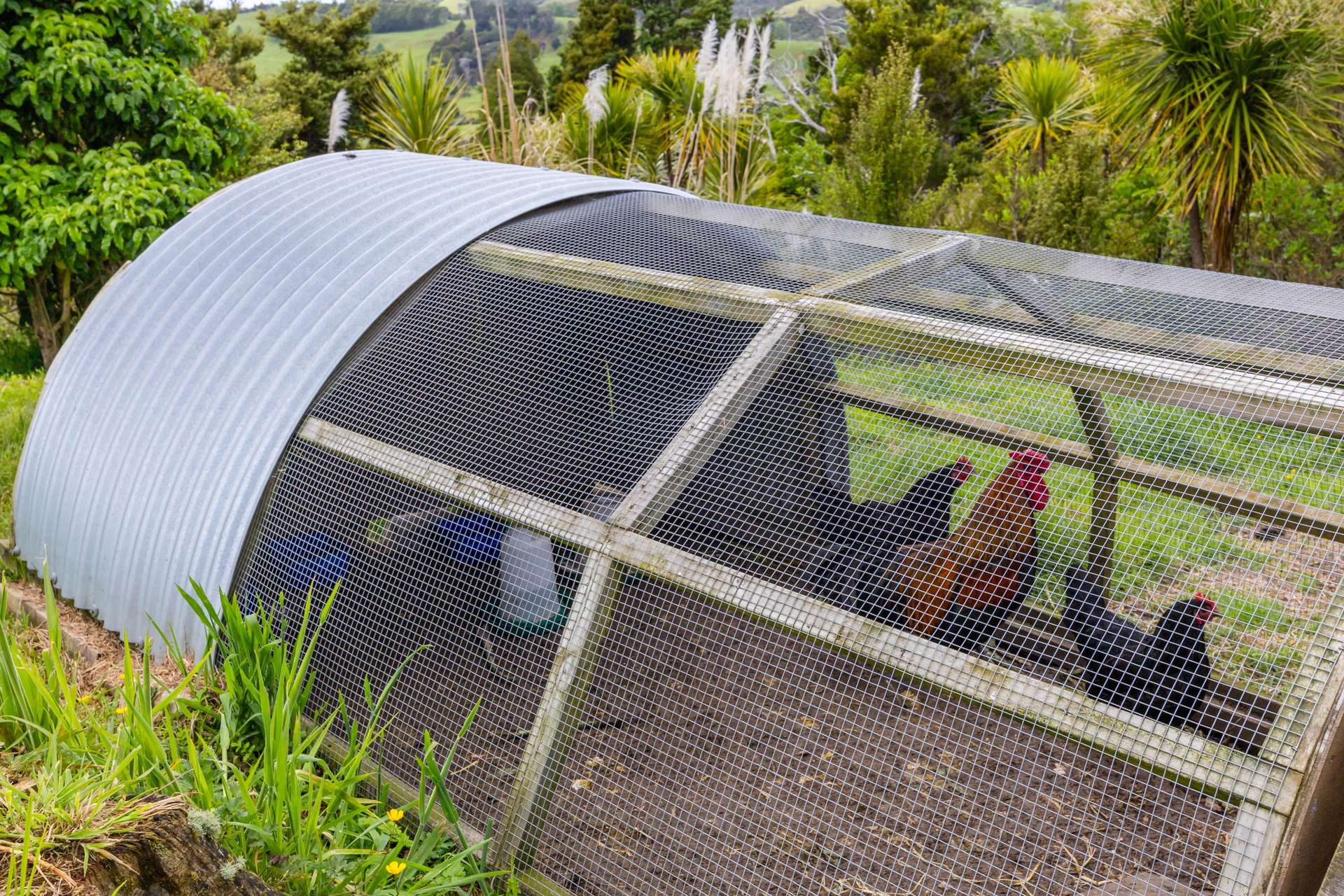 549 Matakana Valley Road photo 18