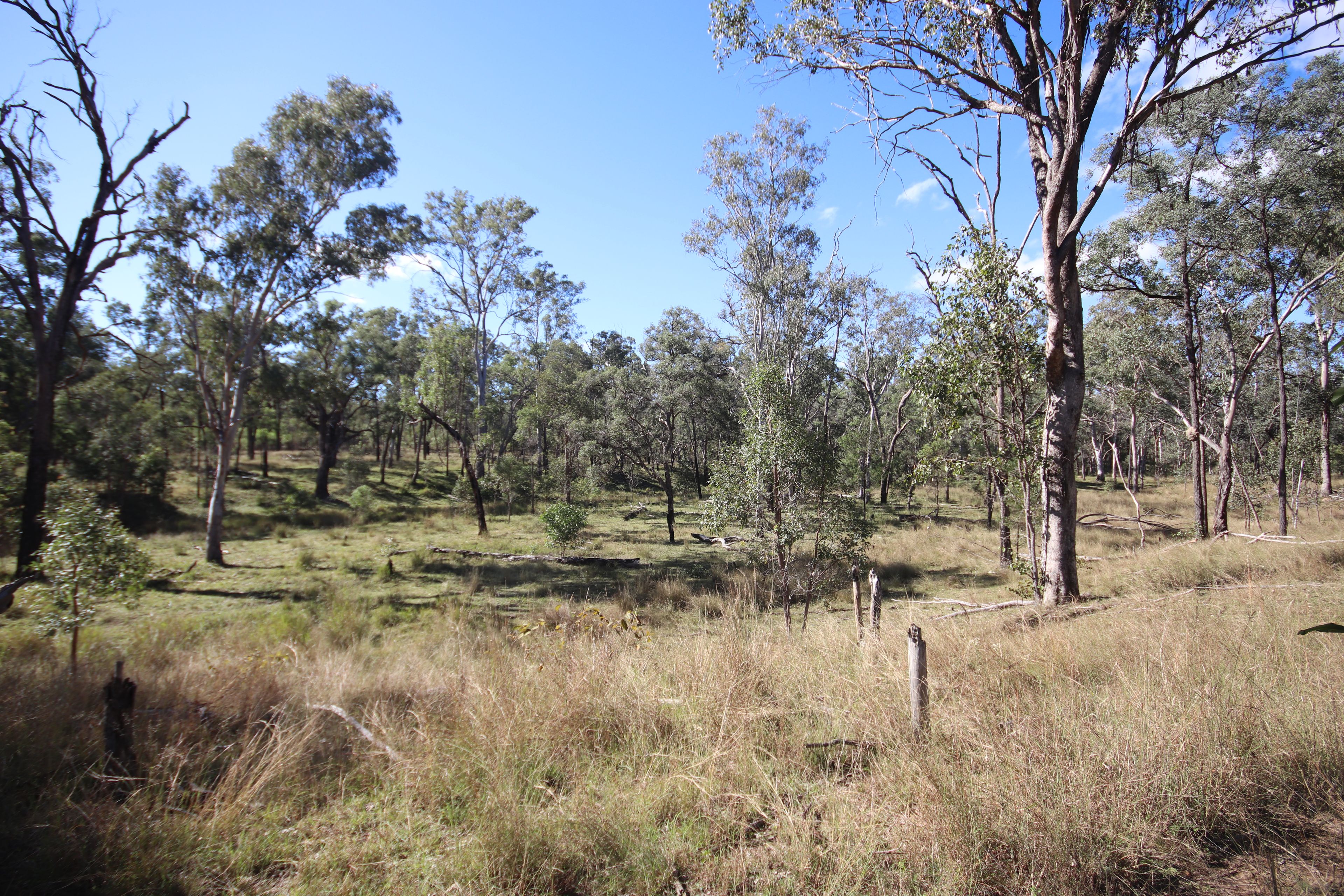 Lots 3, 11 & N Monogorilby Road — photo 11 of 11