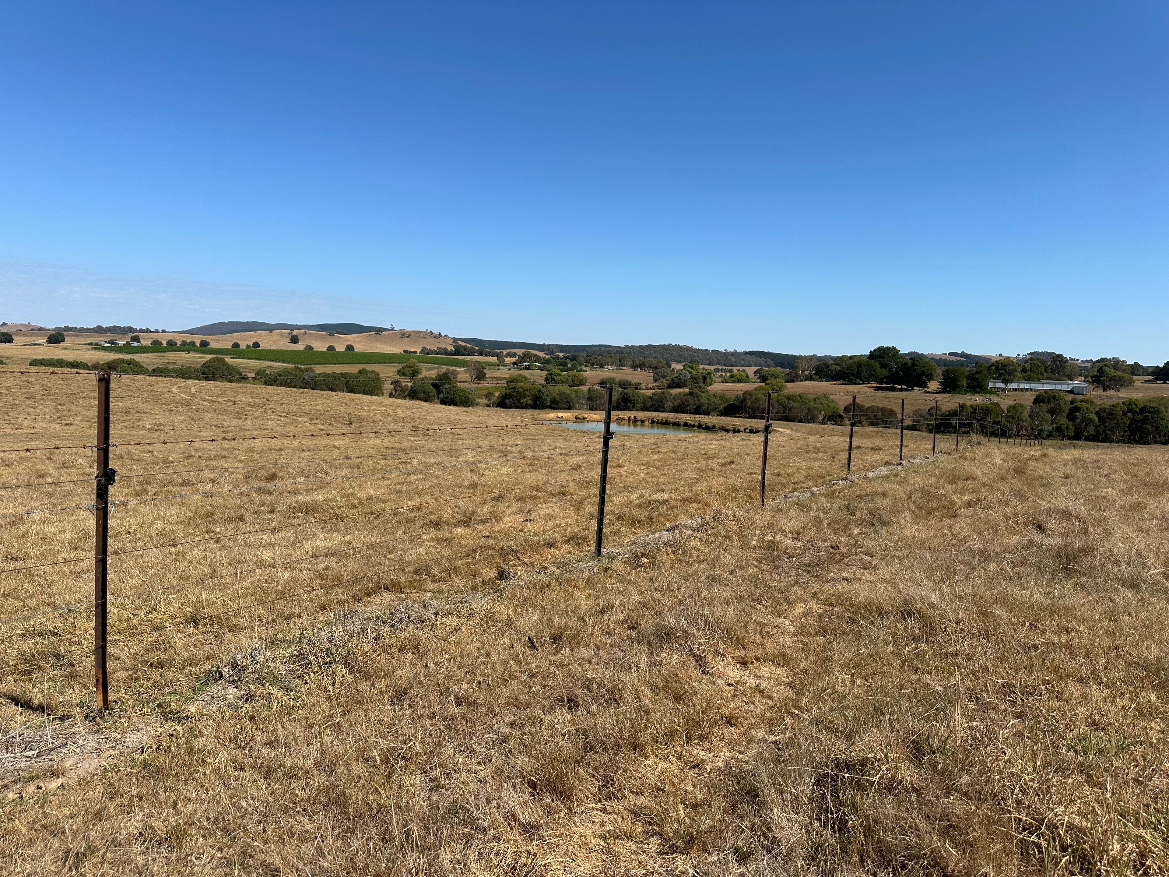 180 Mannus Flats Road, Mannus, NSW 2653 Rural Property for Sale Ray