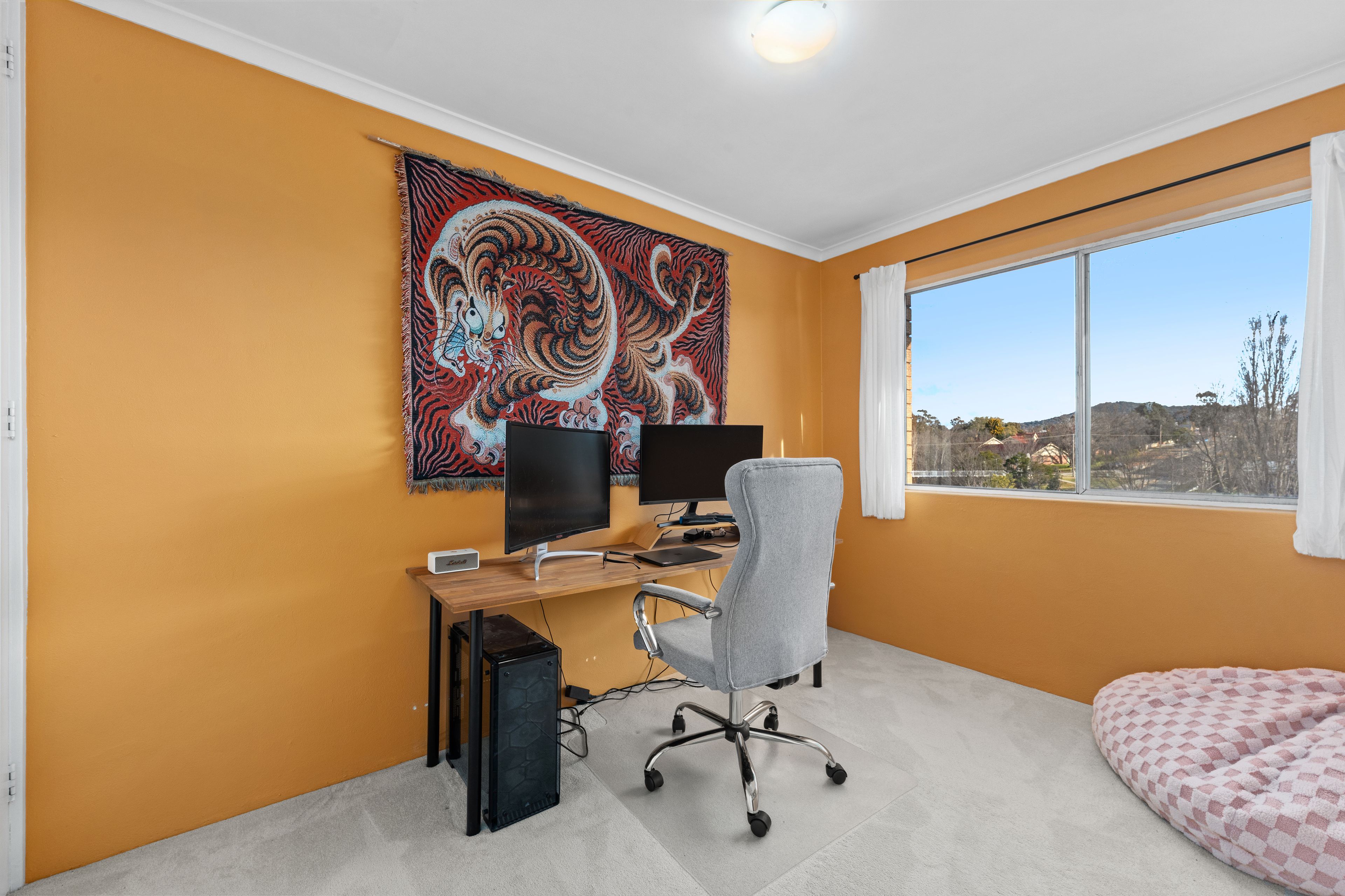 12/1 Mowatt Street — photo 14 of 16
