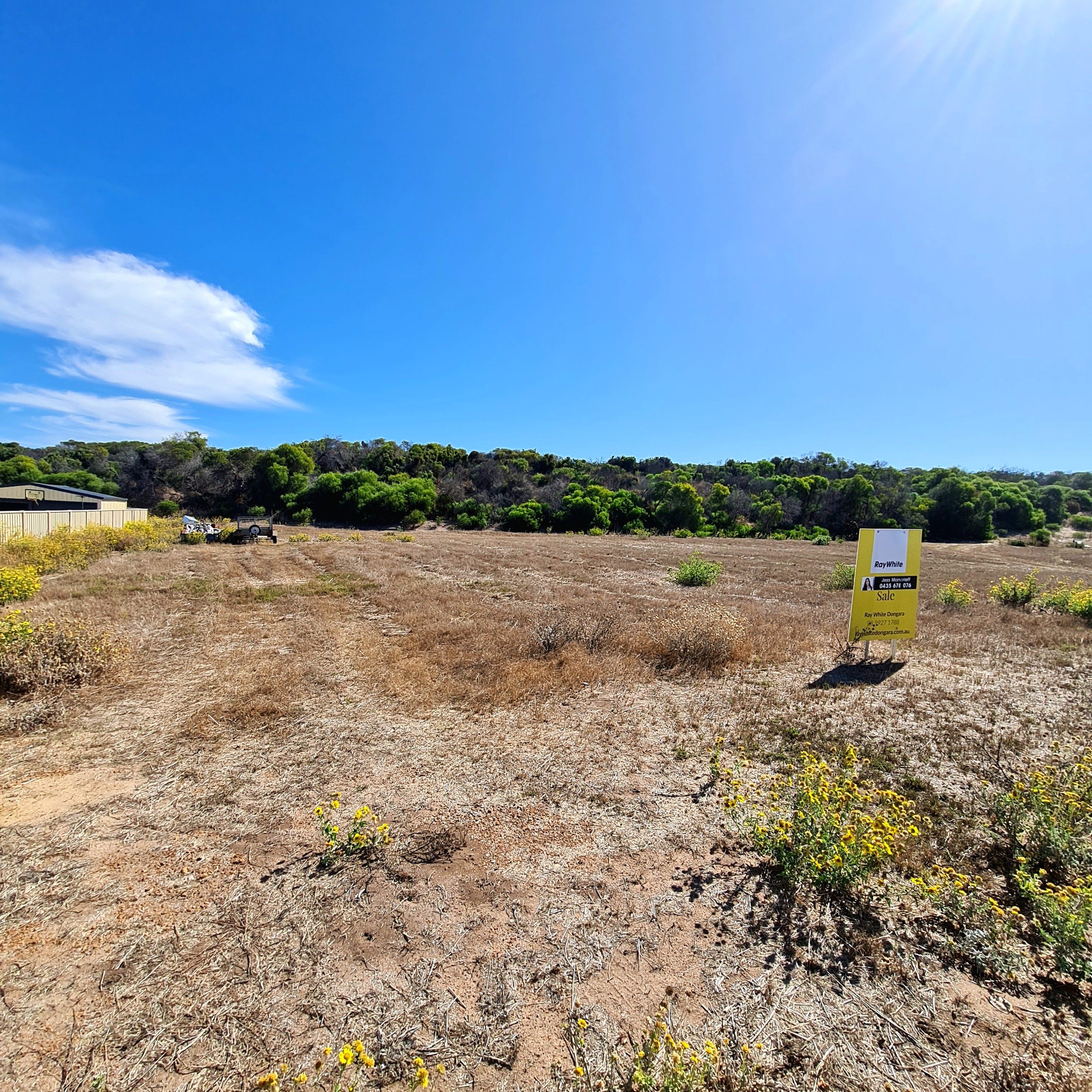 58 Premier Circle, Dongara, WA 6525