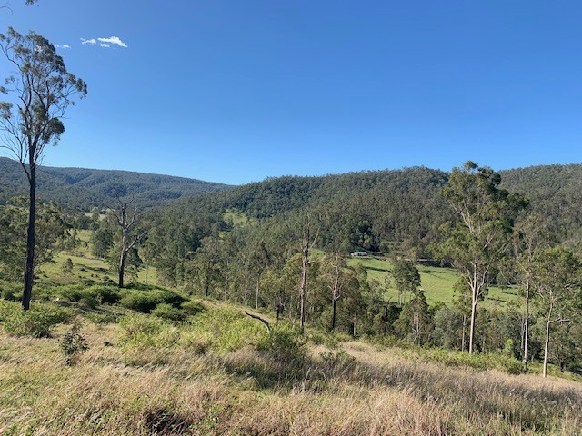 1517 Buaraba Creek Road, Buaraba, QLD 4311