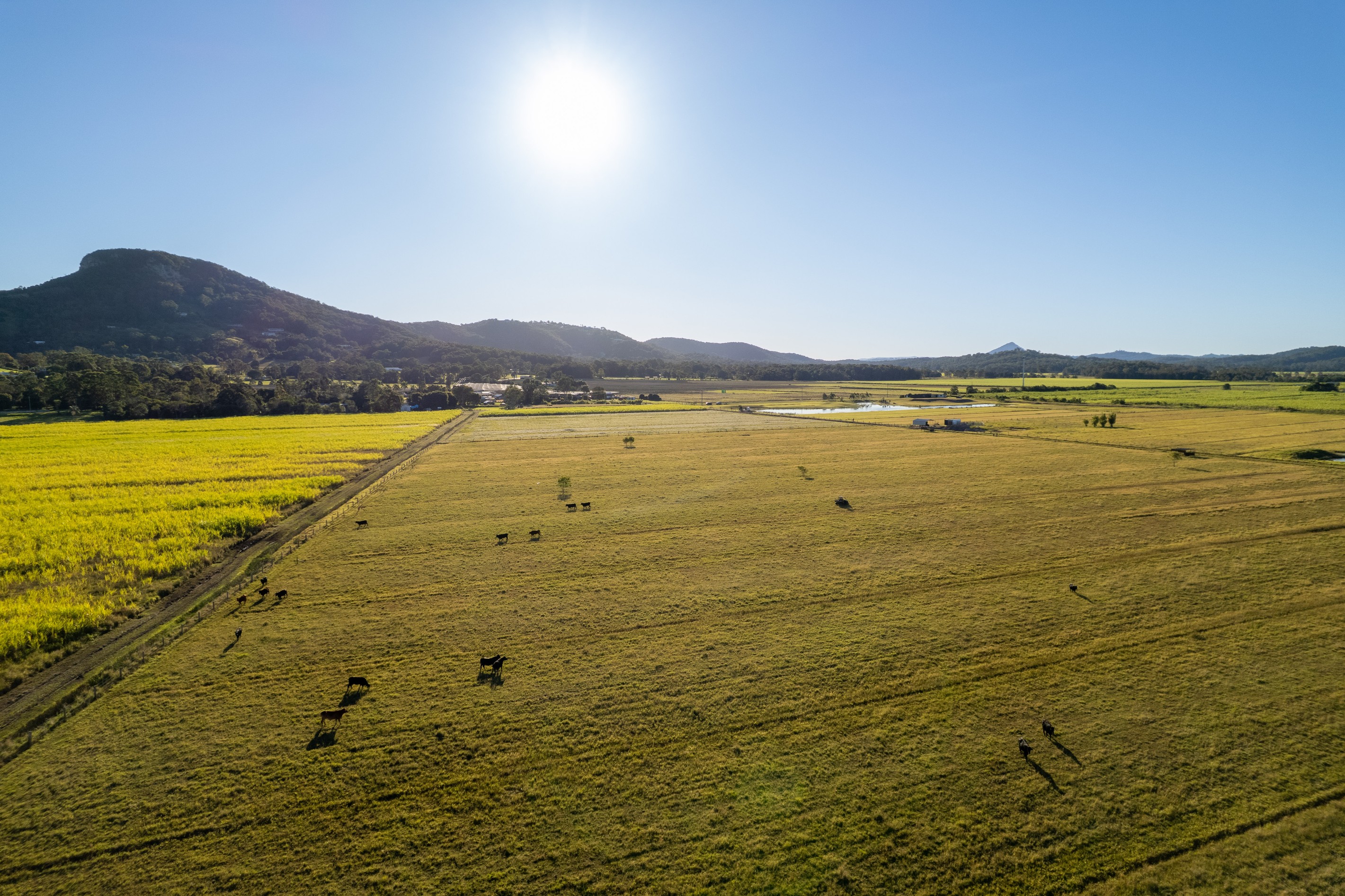 54-64 Dynes Road, Valdora, QLD 4561