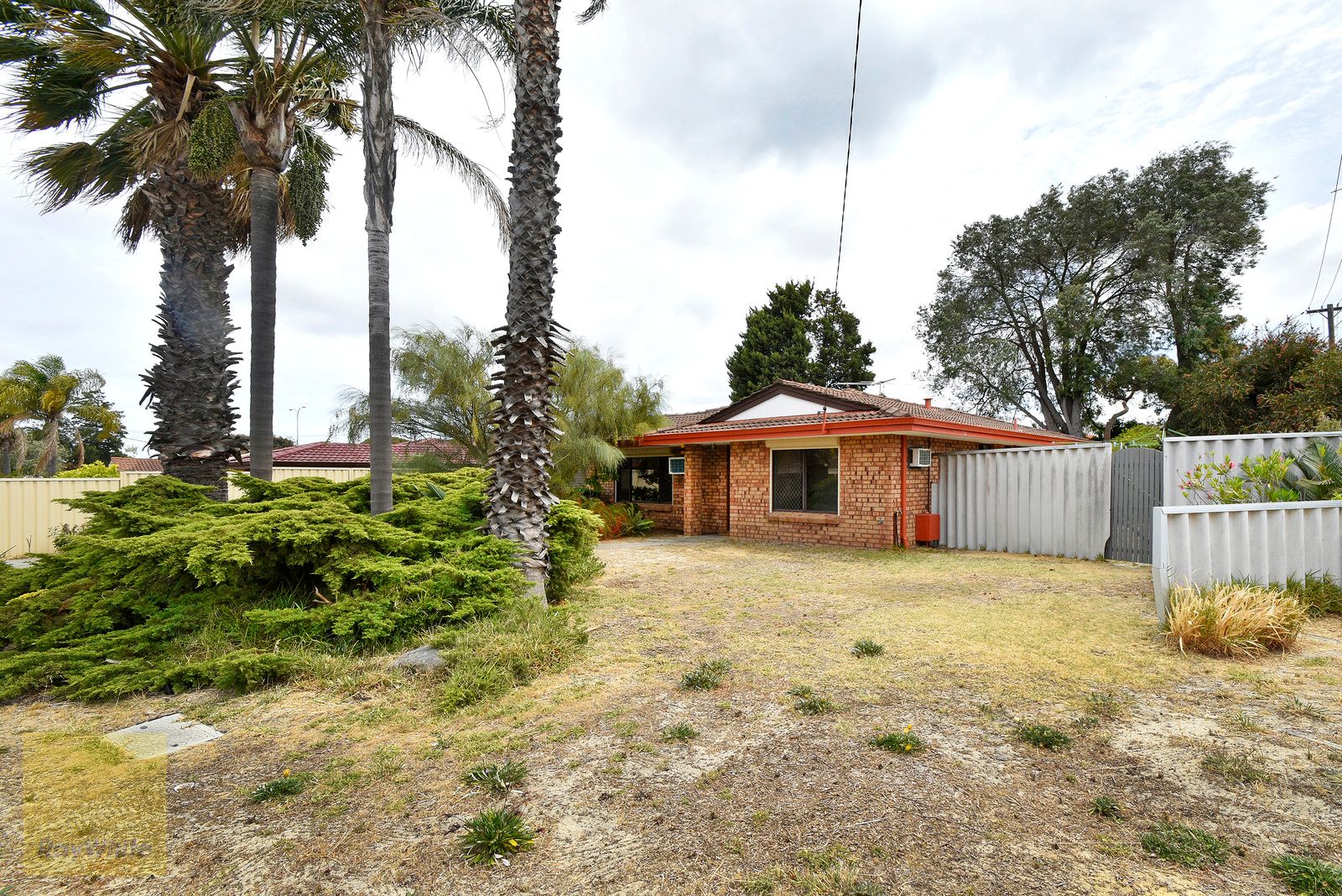 16 Mottlecah Way, Mirrabooka, WA 6061