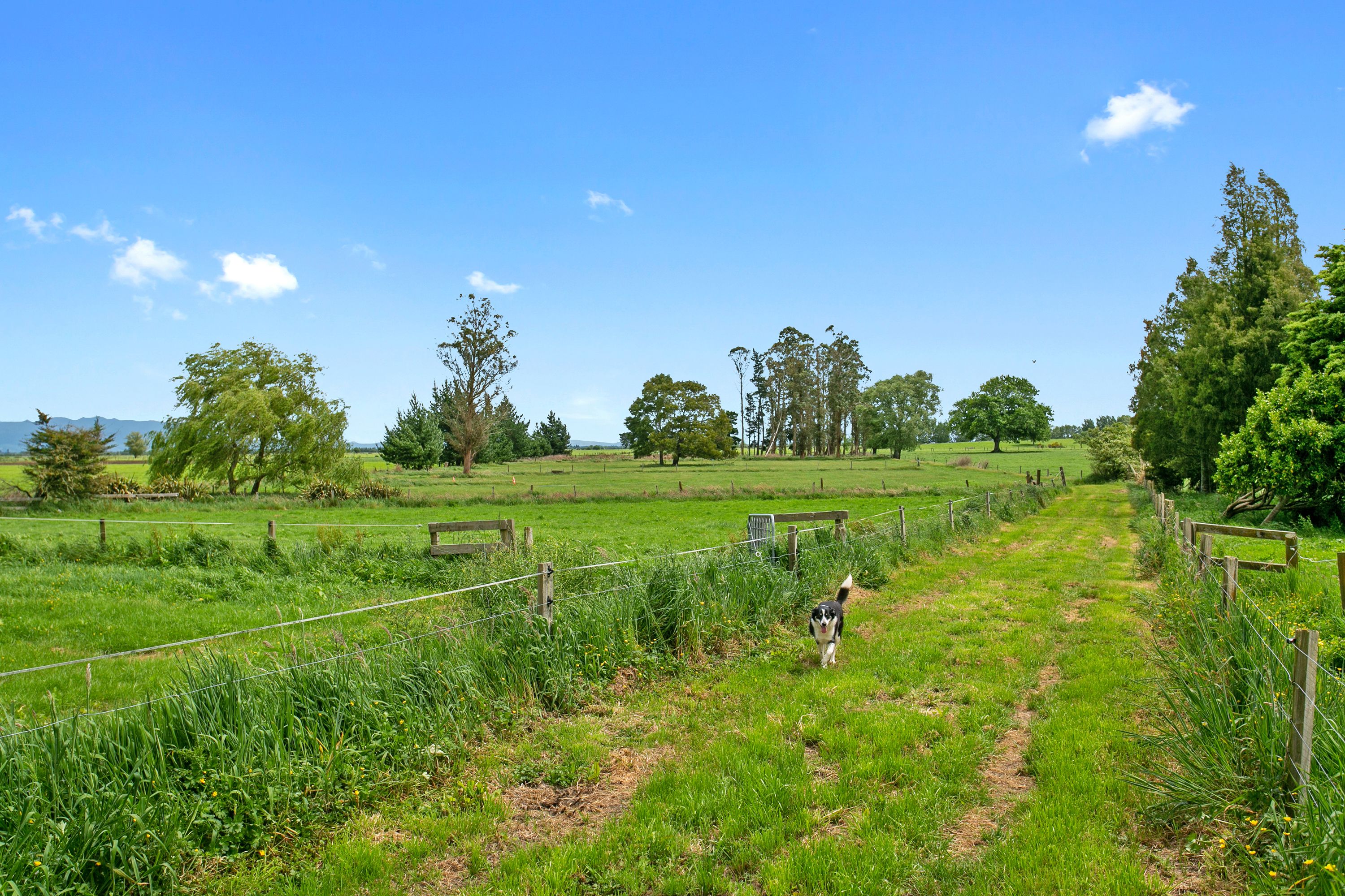 3111 Cambridge Road, Cambridge, Waipa District