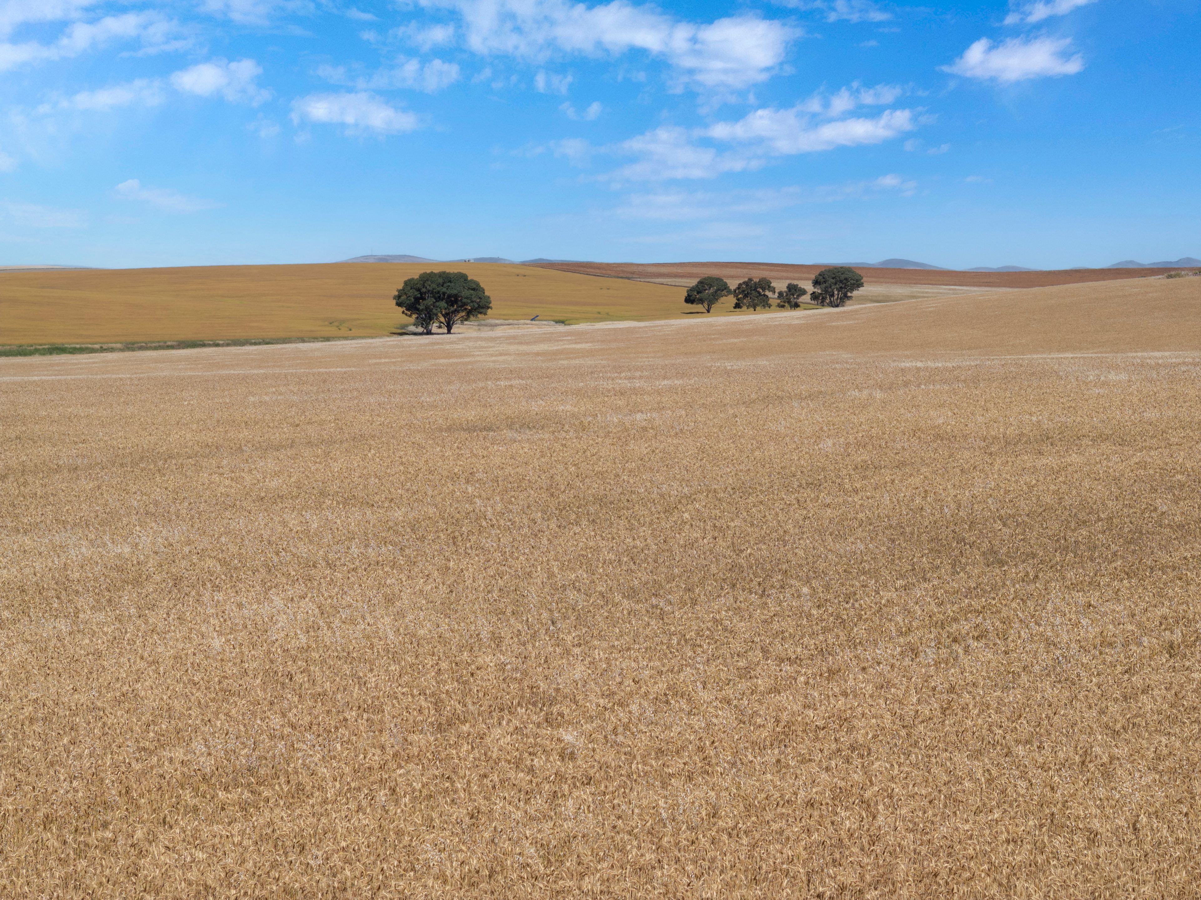 'Narrioota' Euromina Road, Broughton River Valley, SA 5454