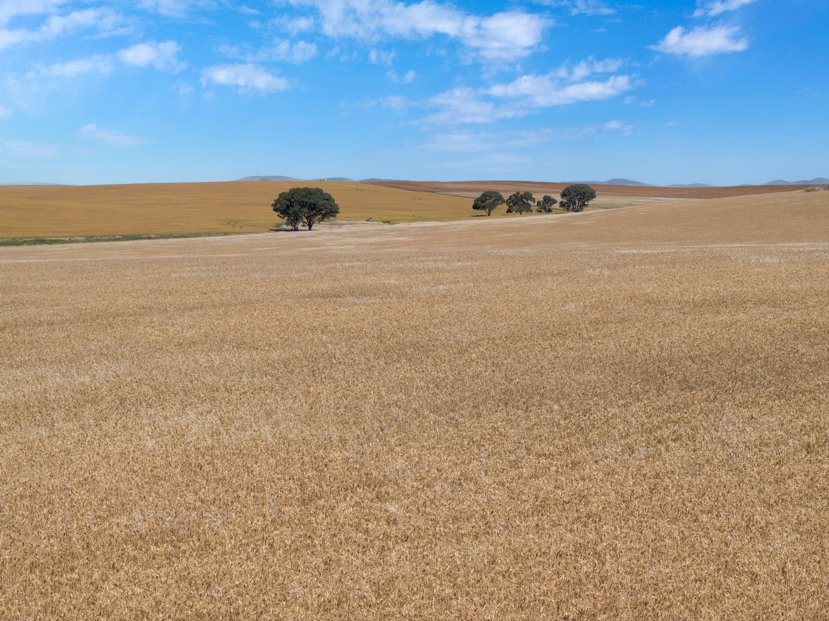'Narrioota' Euromina Road, Broughton River Valley, SA 5454