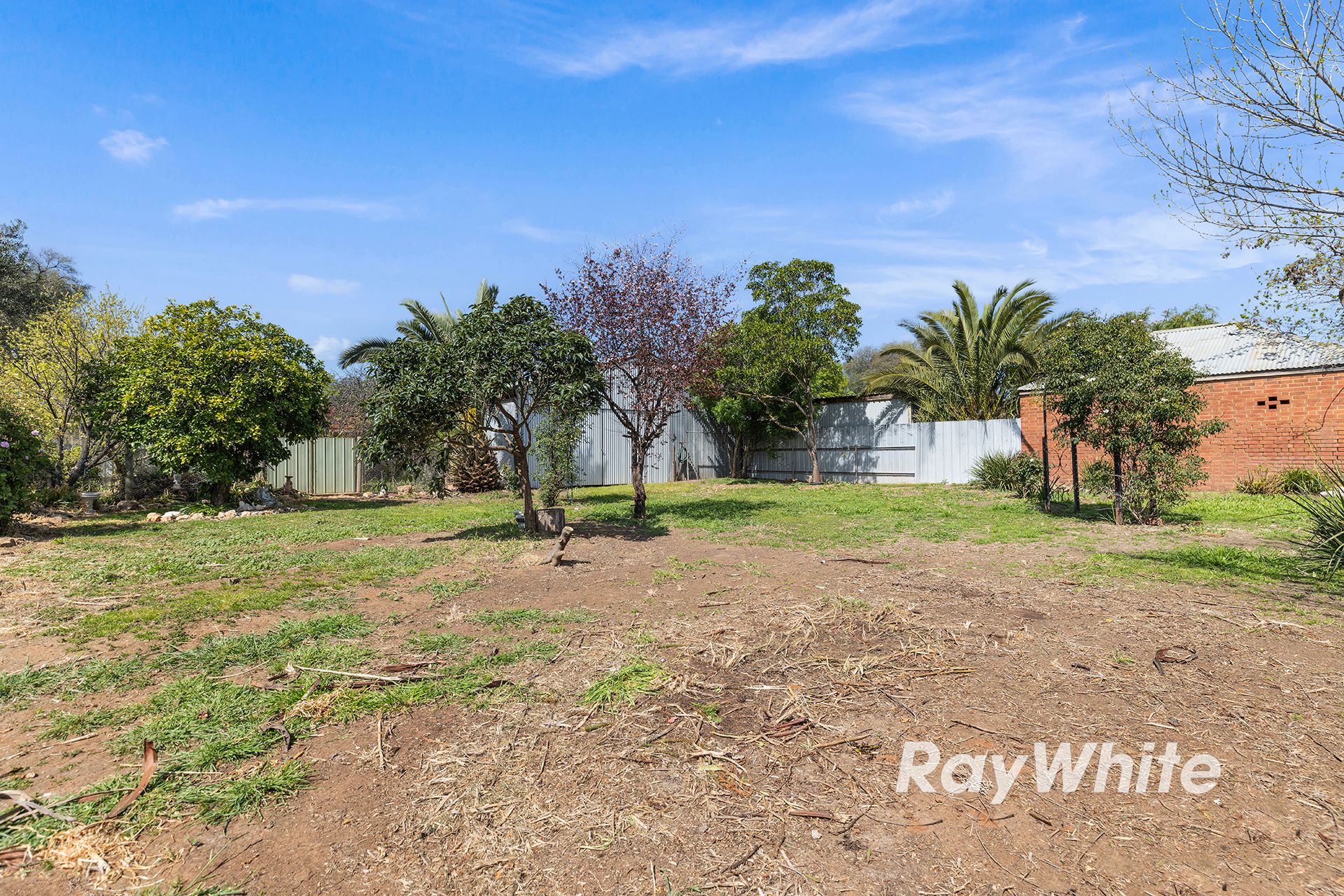 74 Hervey Street — photo 15 of 21