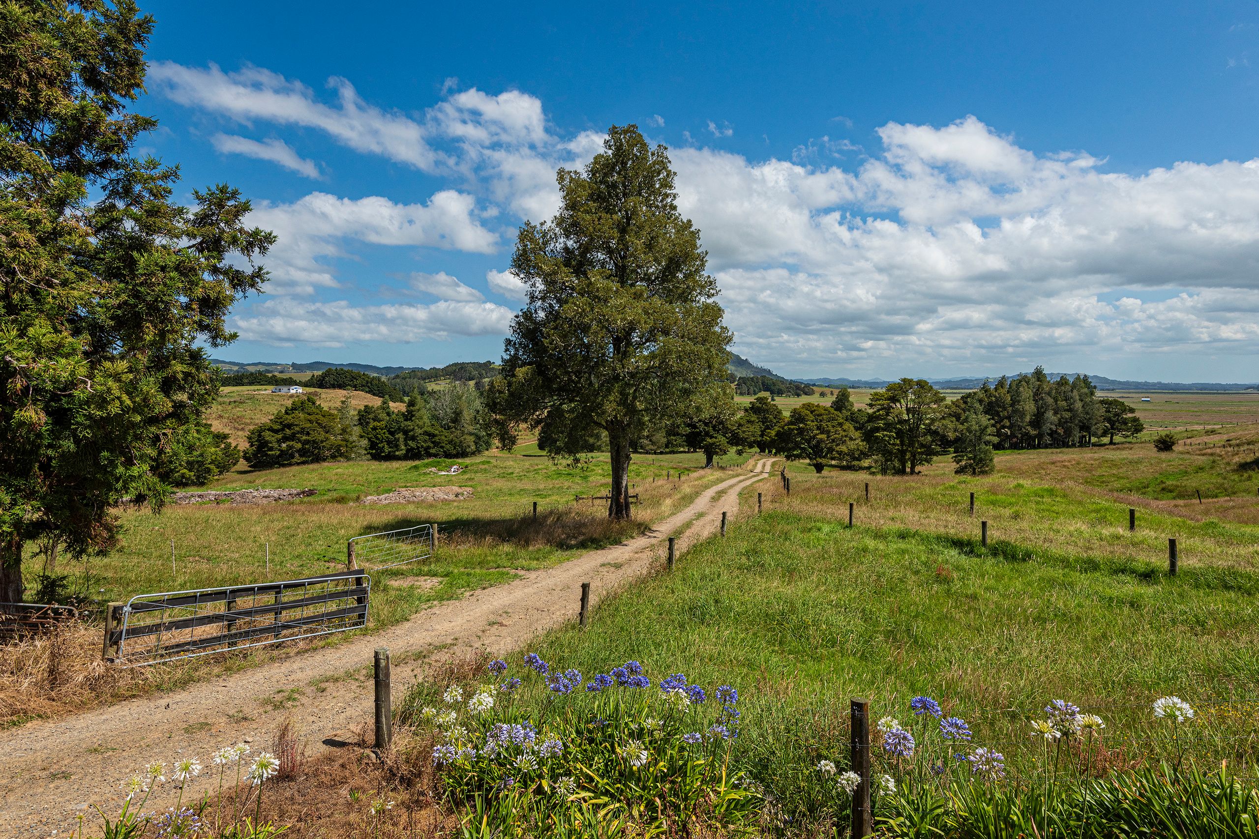 111 Corbett Road, Hikurangi, Whangarei District 0114 Rural Grazing