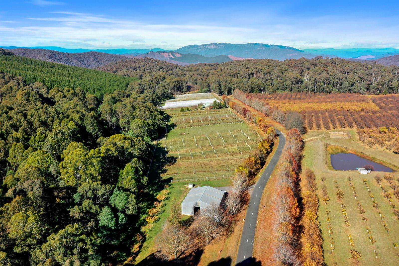 507 MyrtlefordStanley Road, Stanley Via, Myrtleford, VIC 3737 House