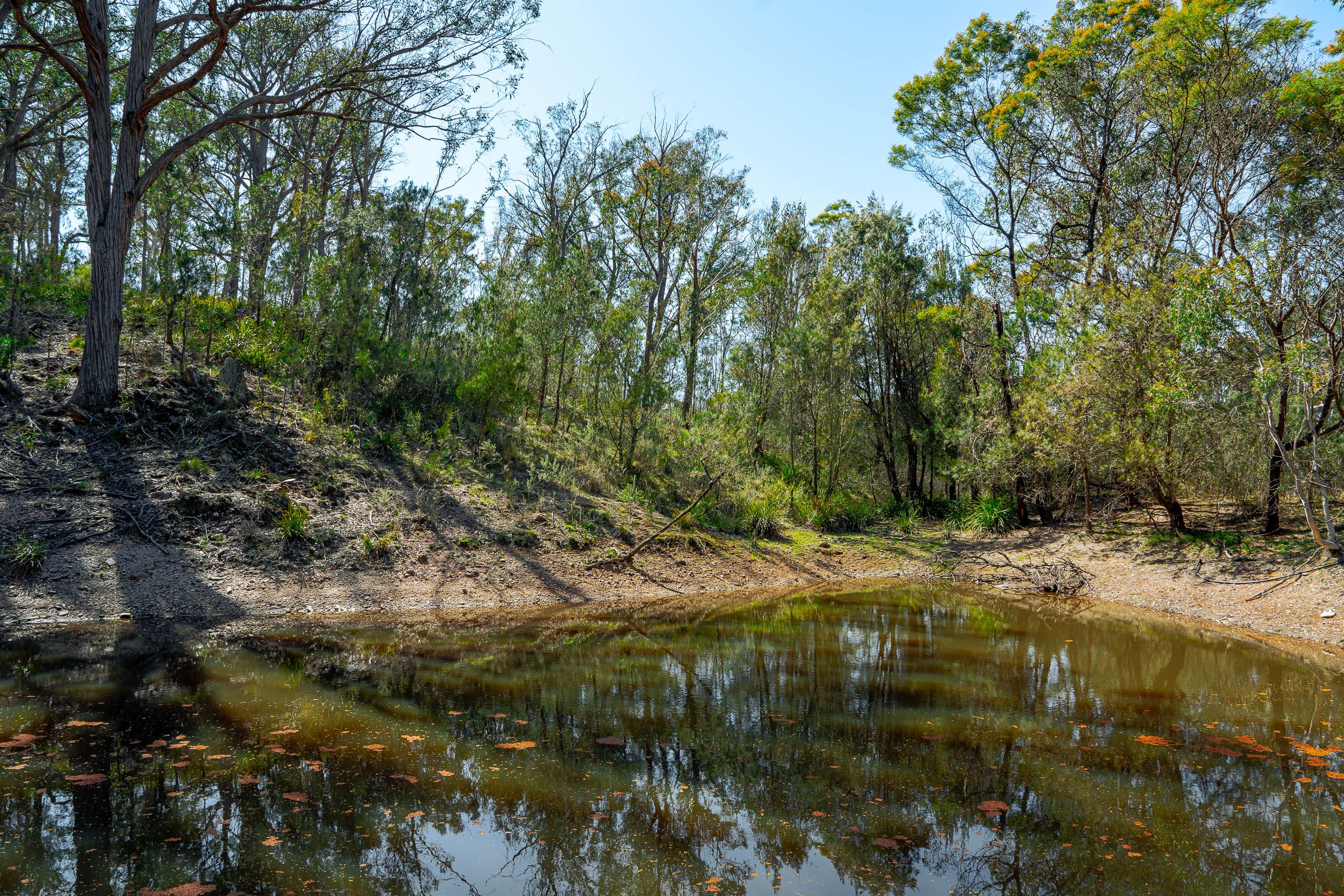 1185 Mountain Ash Road, Gundary, NSW 2580