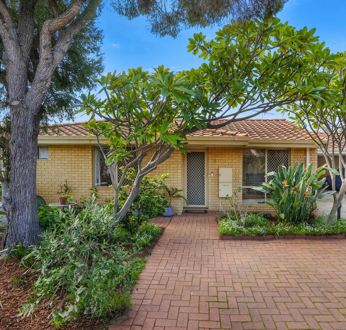 6/69 Hutton Street, Stirling, WA 6021