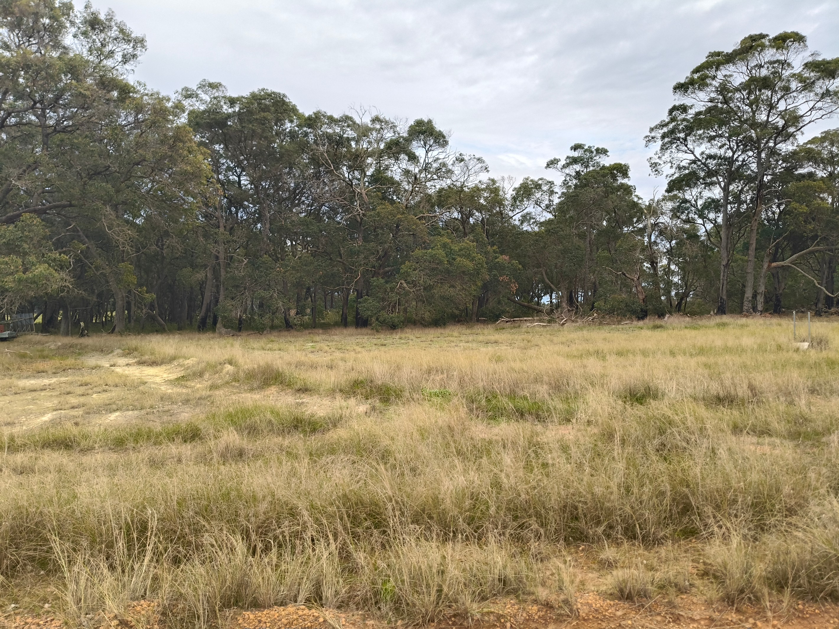 Lot 27 215 Porongurup Road, Mount Barker, WA 6324