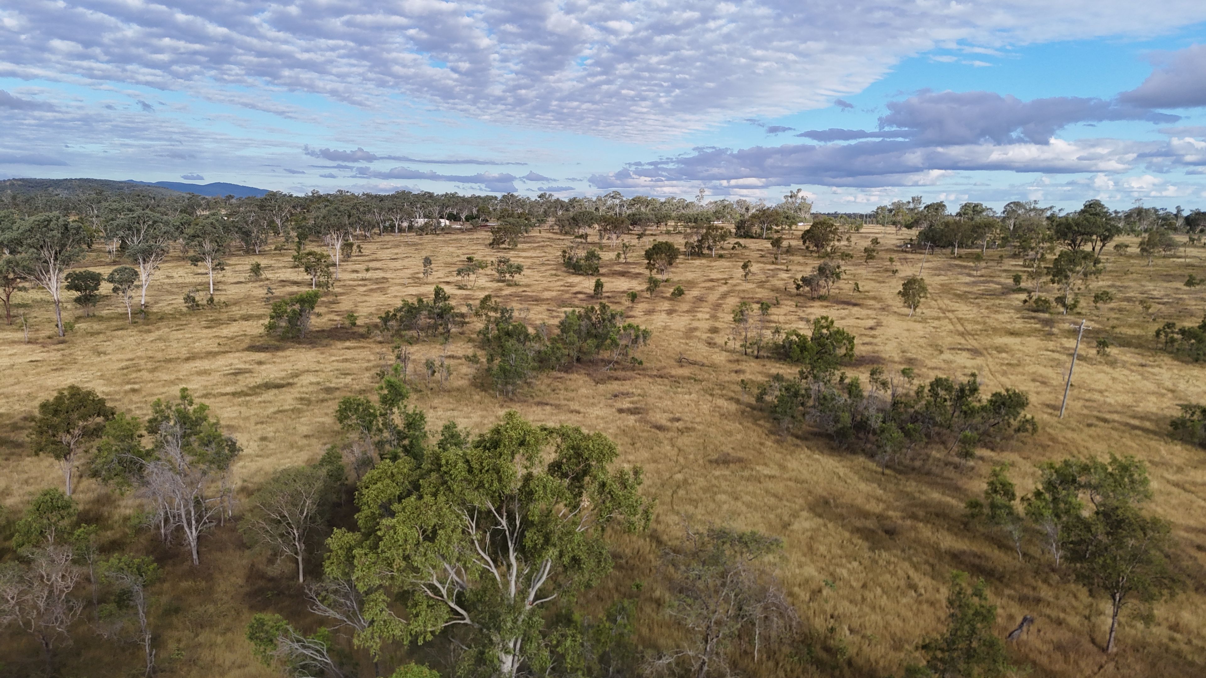 117 Donnellans Road, Nebo, QLD 4742