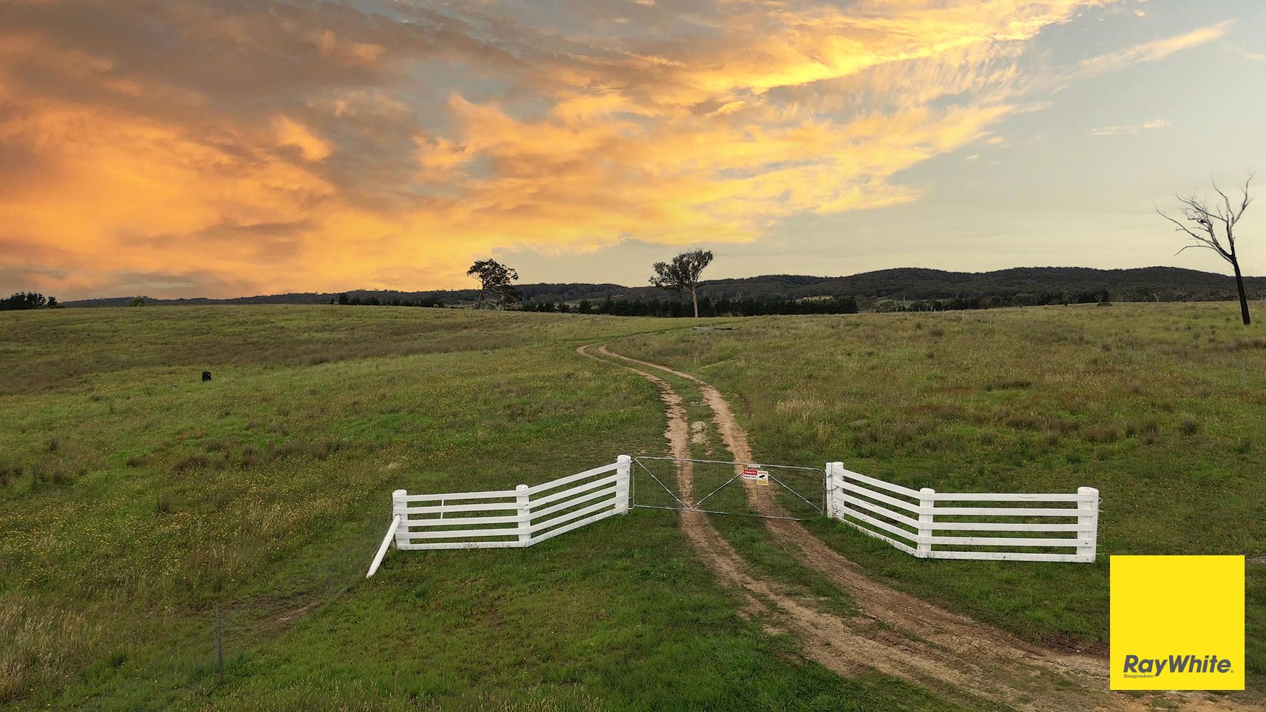 344 Lilyvale Road, Boro, NSW 2622 Land for Sale Ray White Bungendore