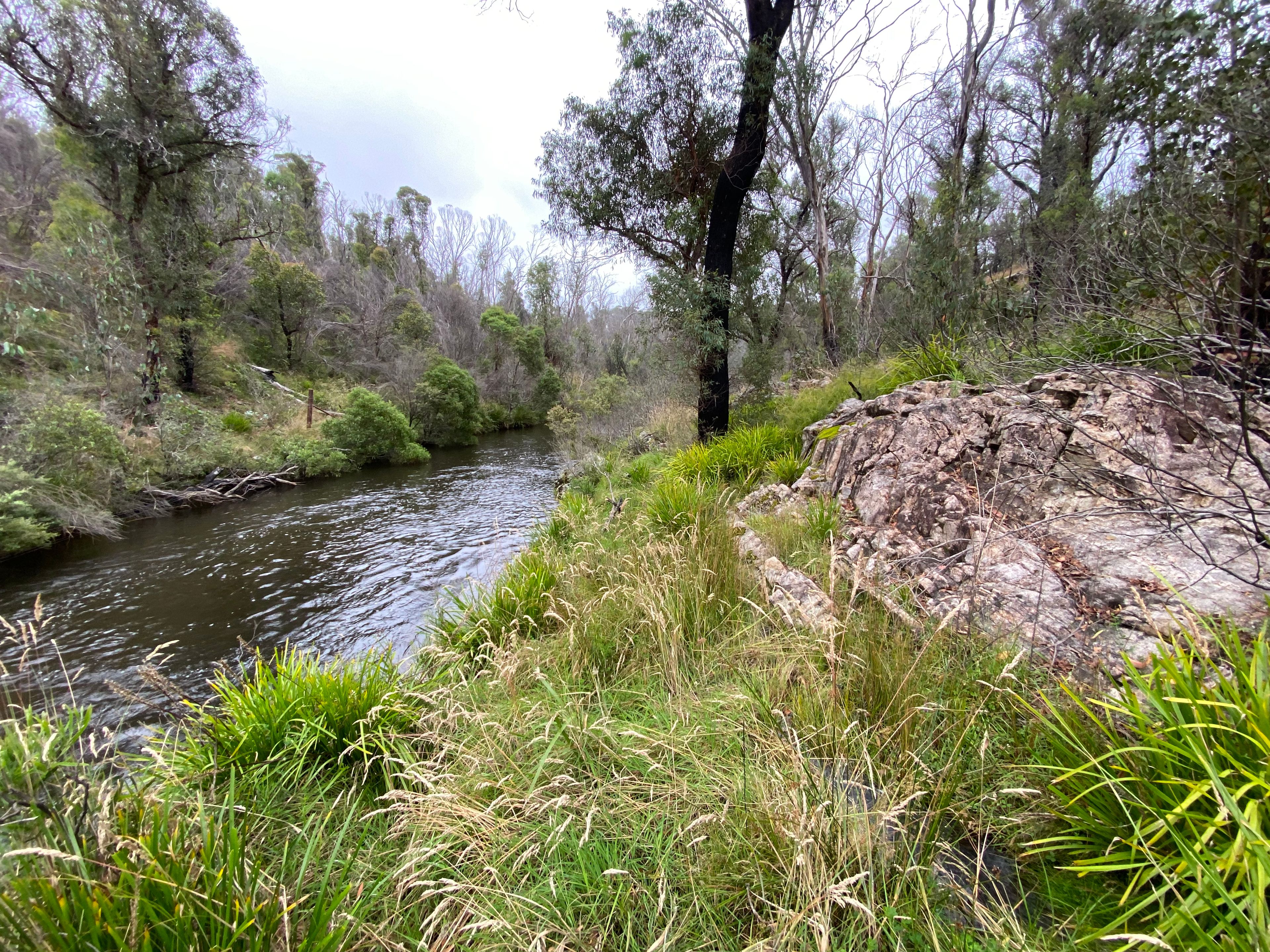 194 Point Lookout Road Ebor, Dorrigo, NSW 2453 Rural Lifestyle