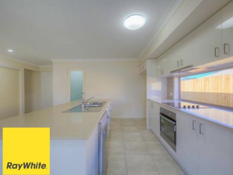36 Hollyoak Crescent, Pimpama, QLD 4209