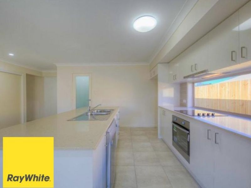36 Hollyoak Crescent, Pimpama, QLD 4209