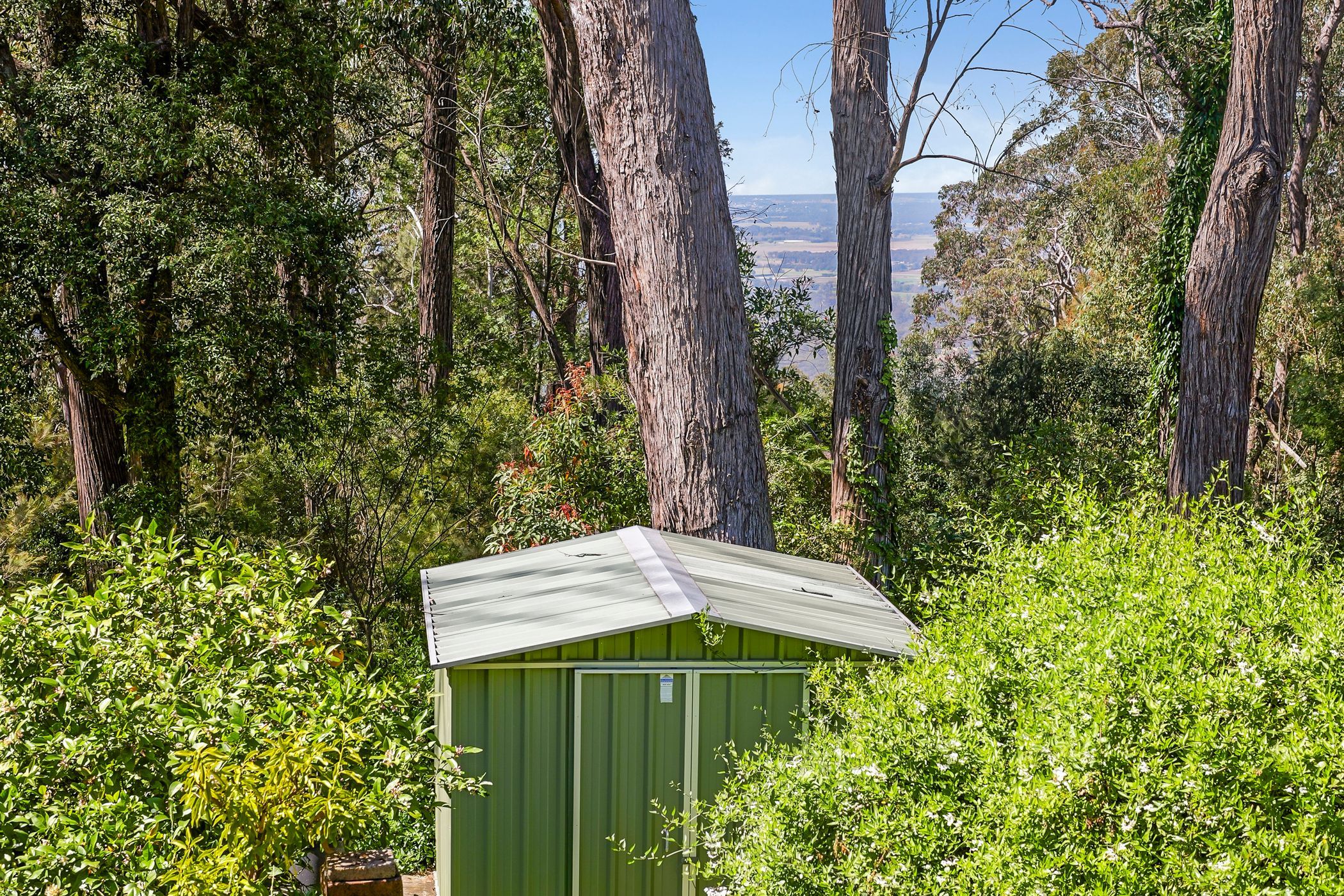 41 Waratah Street — photo 12 of 12